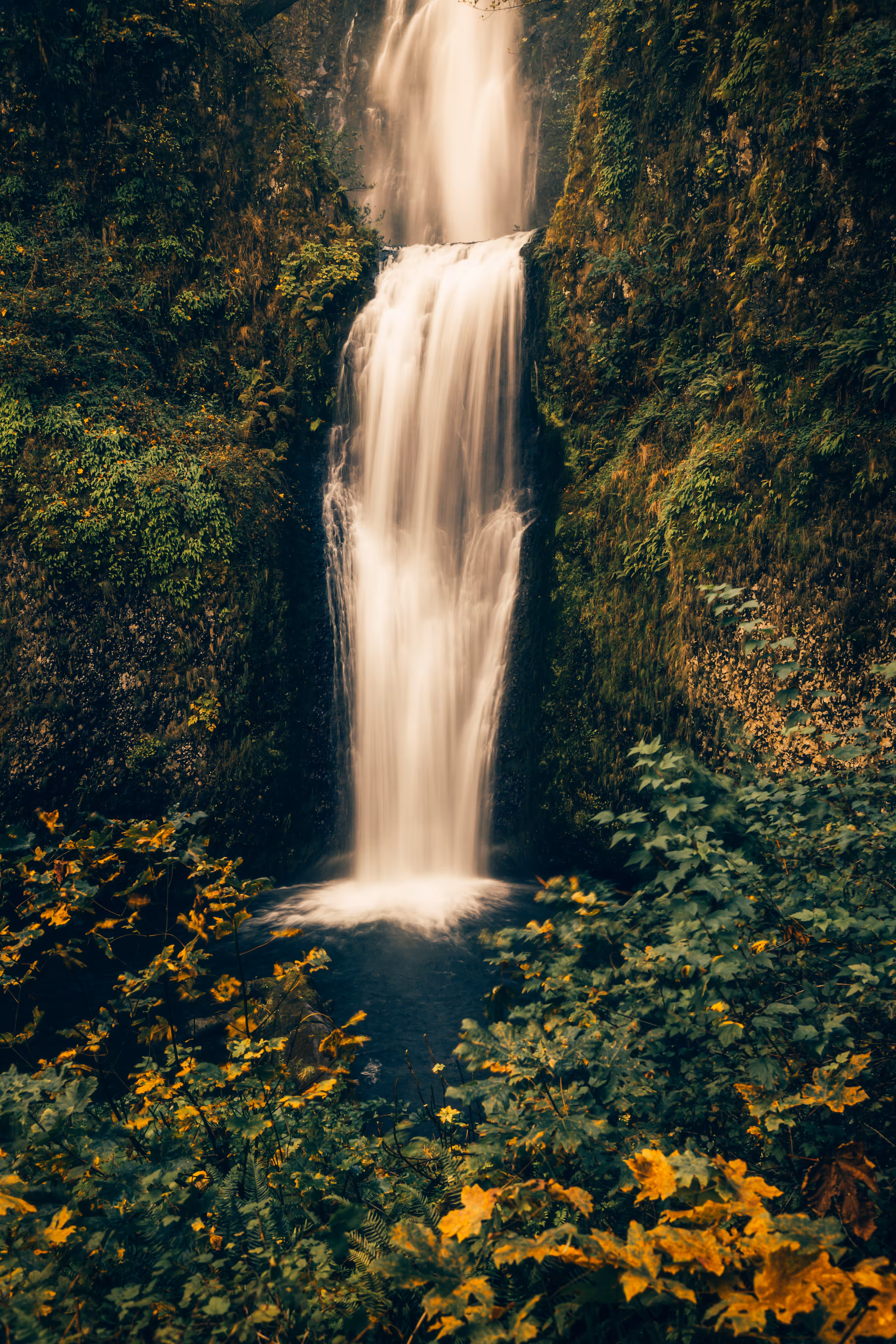 Distance Traveled 48: Multnomah