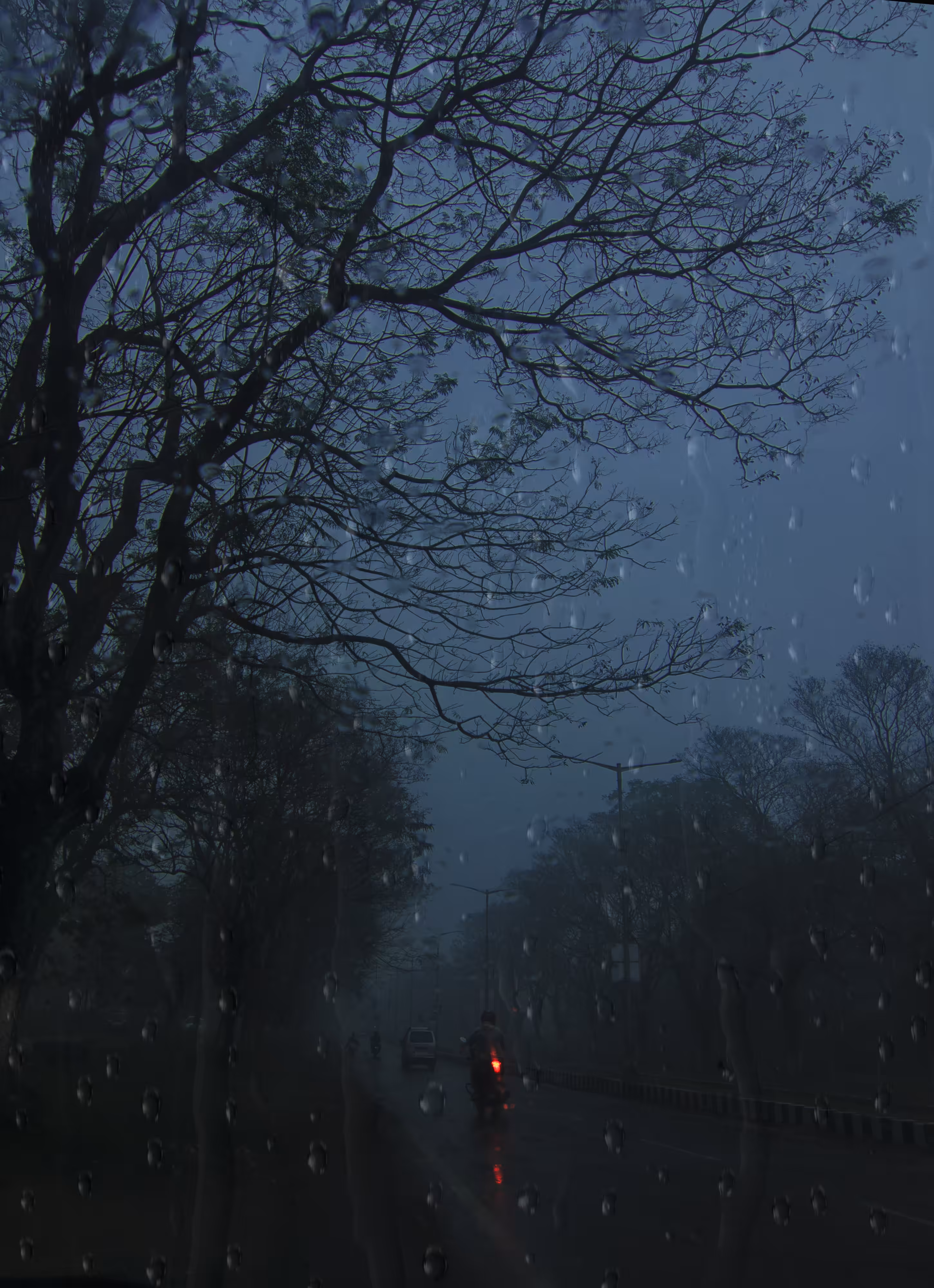 The Rainy Day 