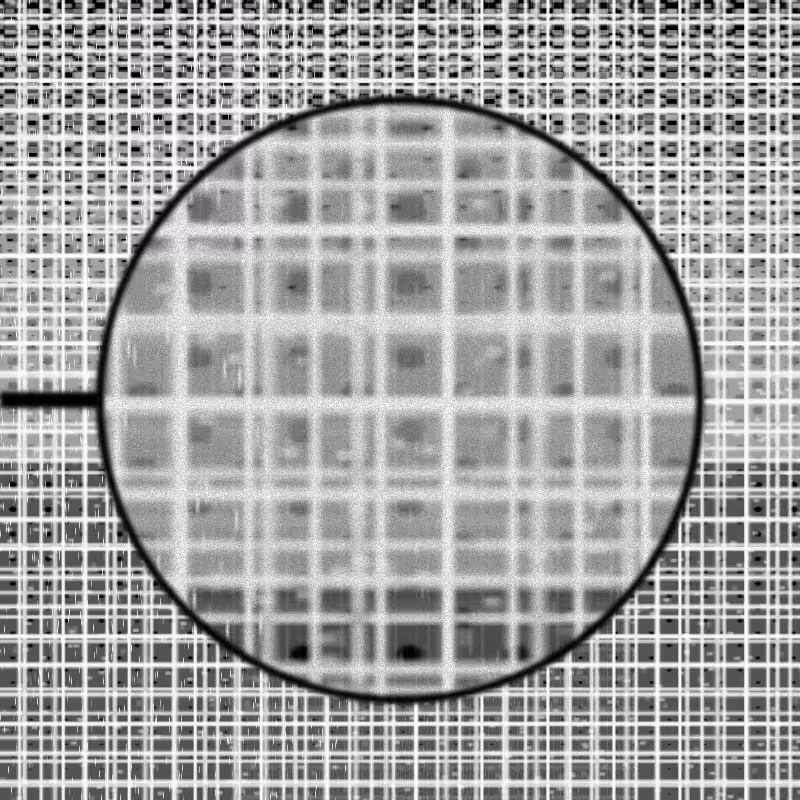 MICROSCOPY #5