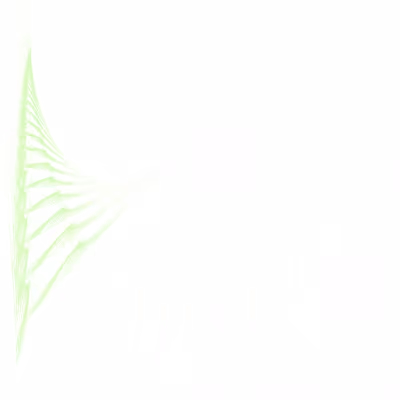 fern #4