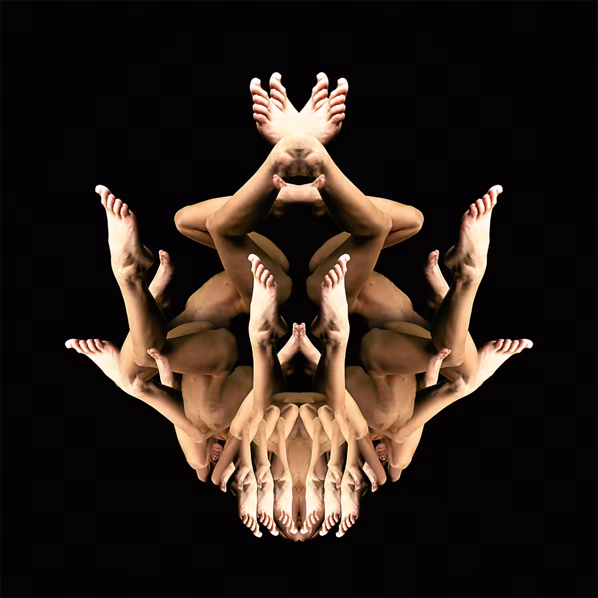 Token 3 - The symmetry of the human body