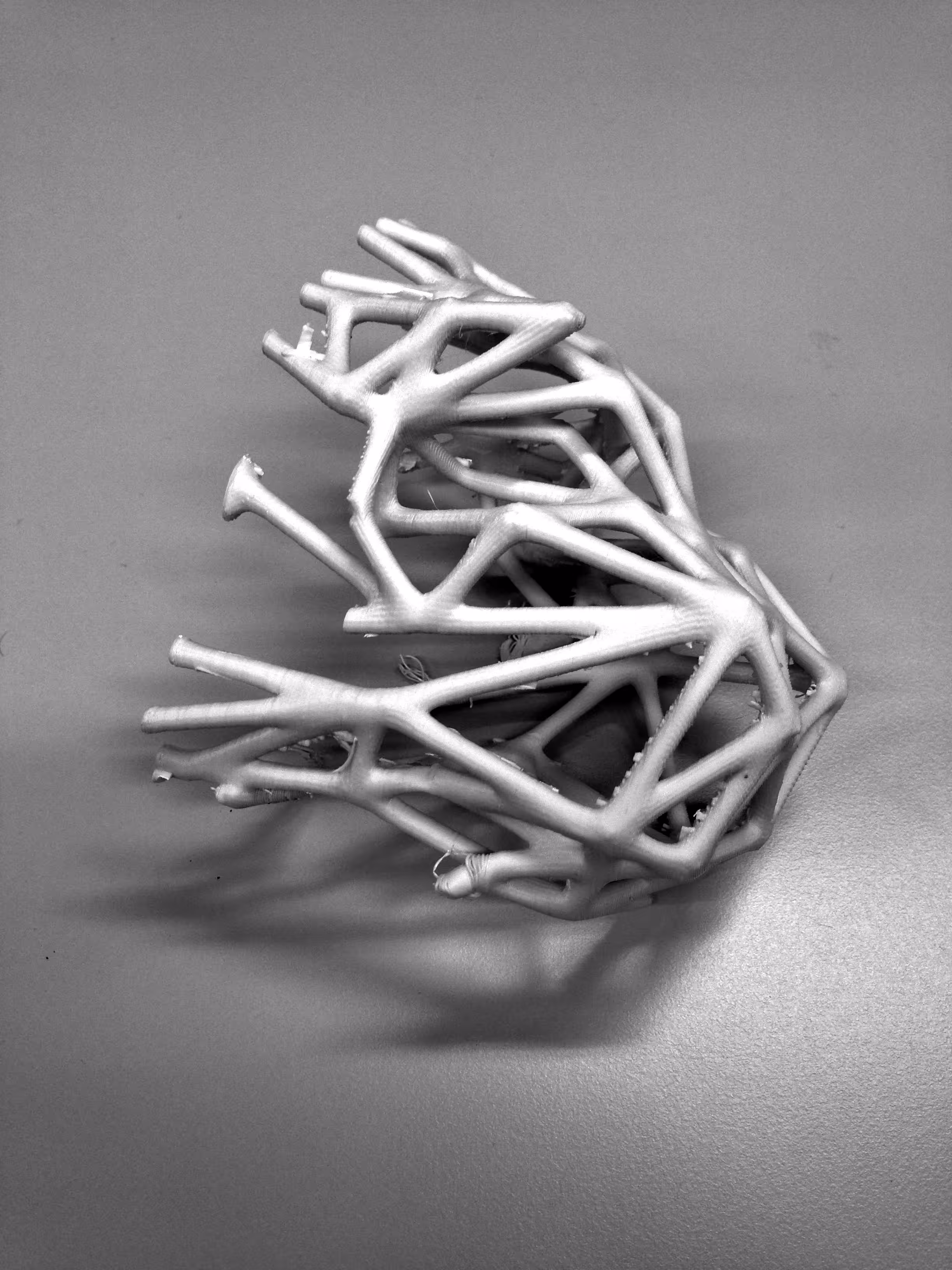 printed wireframe