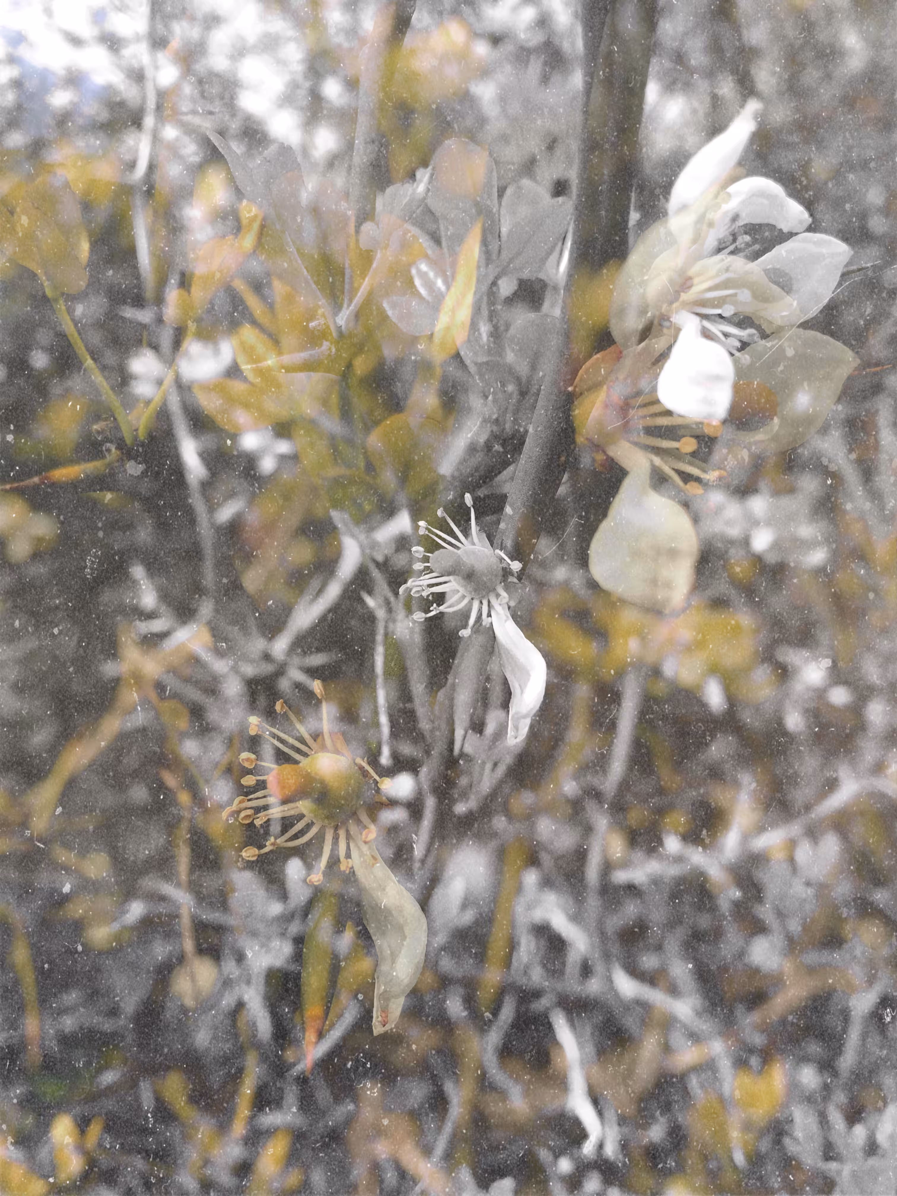 Gardening Experiment 3