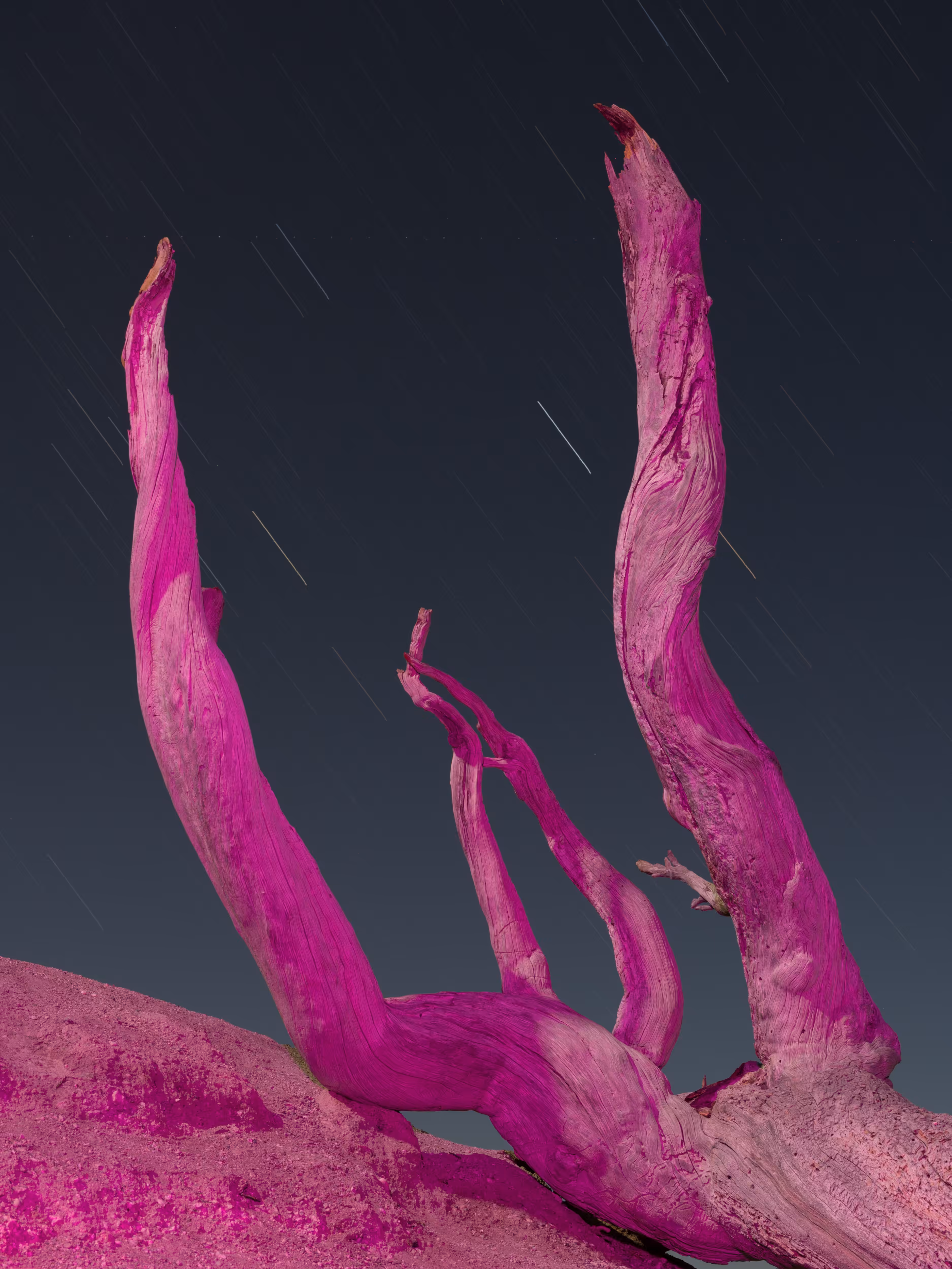 Bleeding Magenta #7