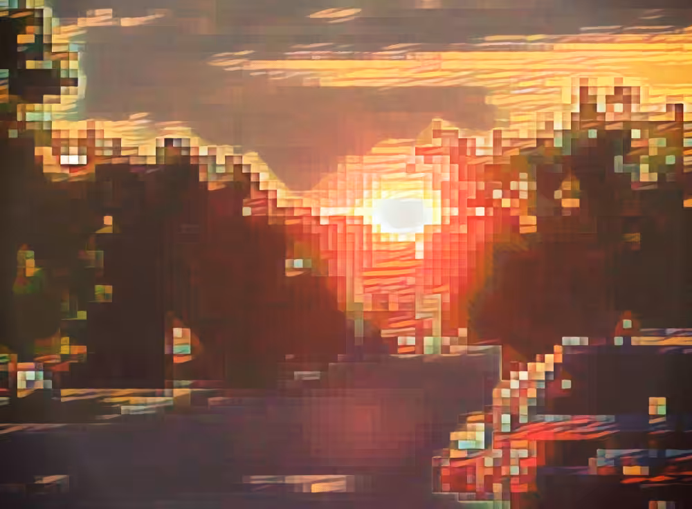 Sunny
