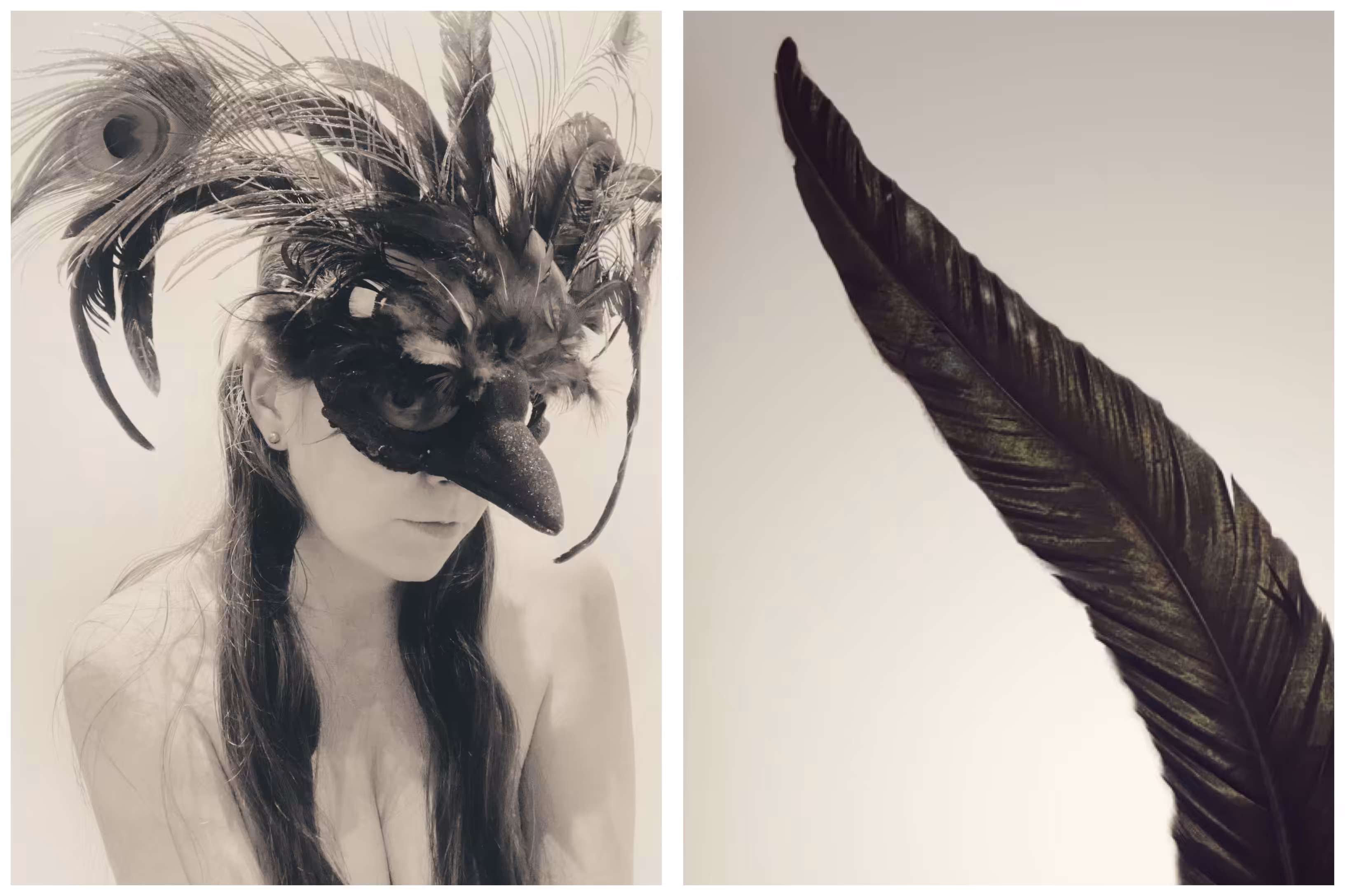 Quoth the Raven