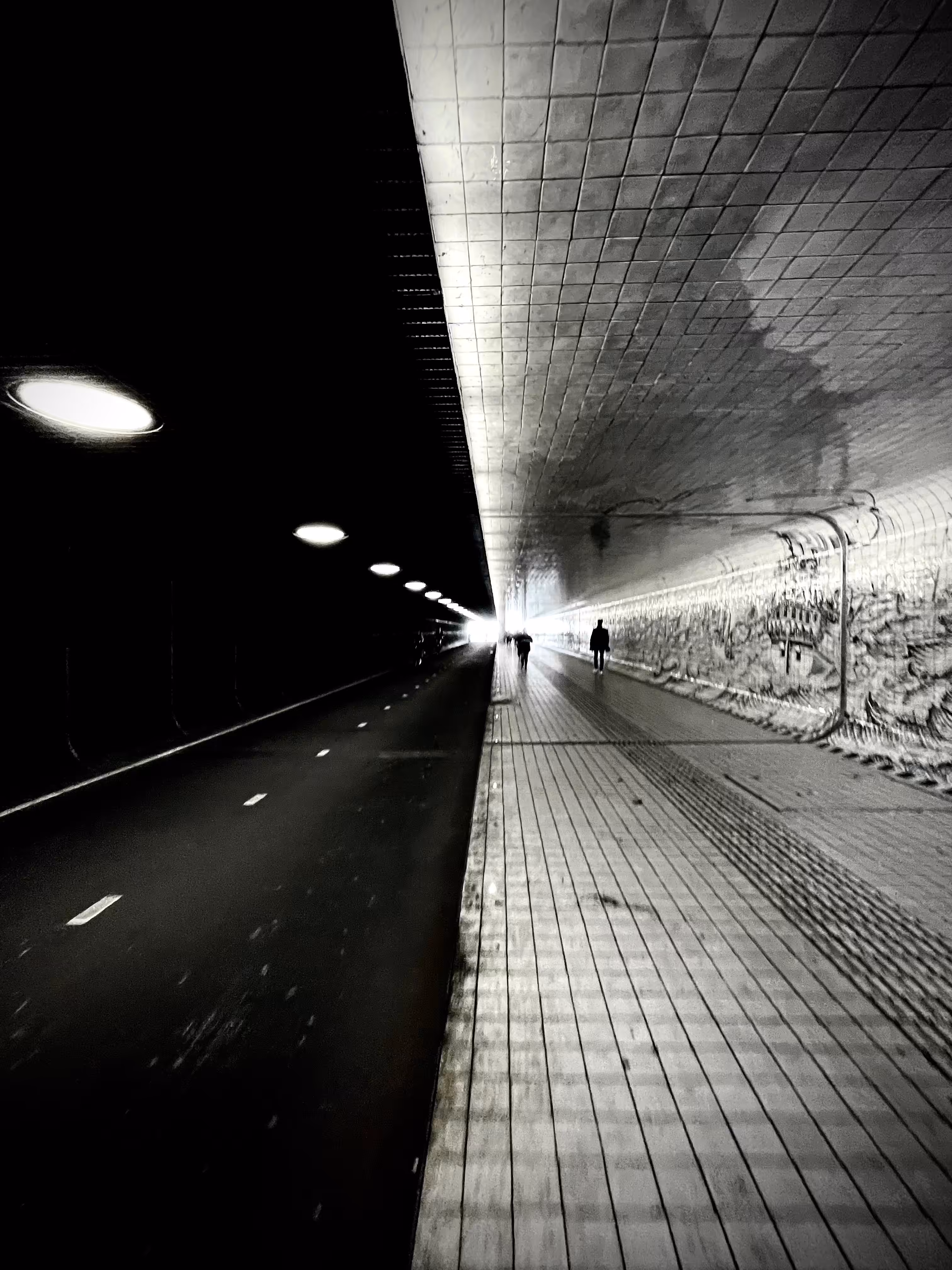 monochrome abduction
