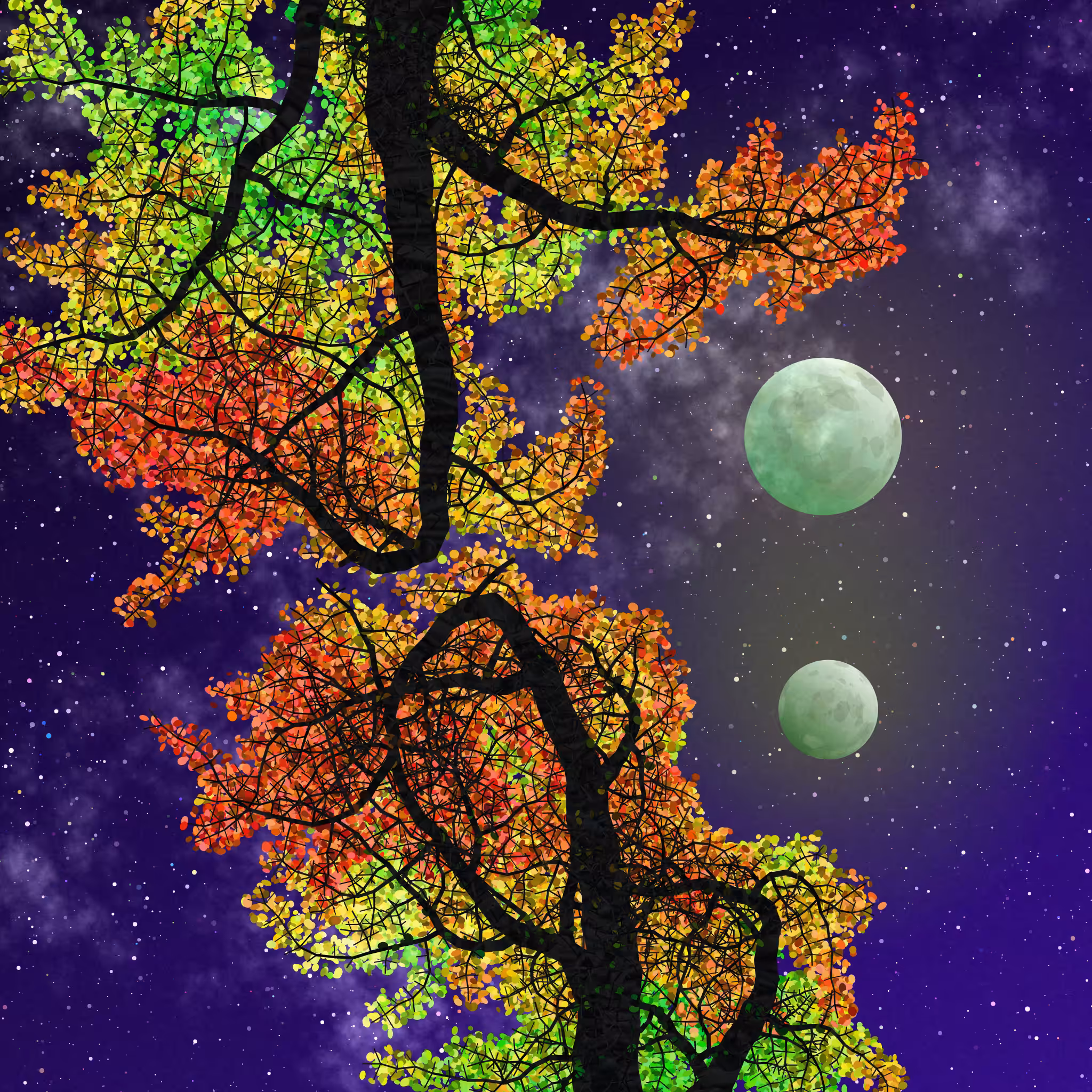 Tree Skyness #179