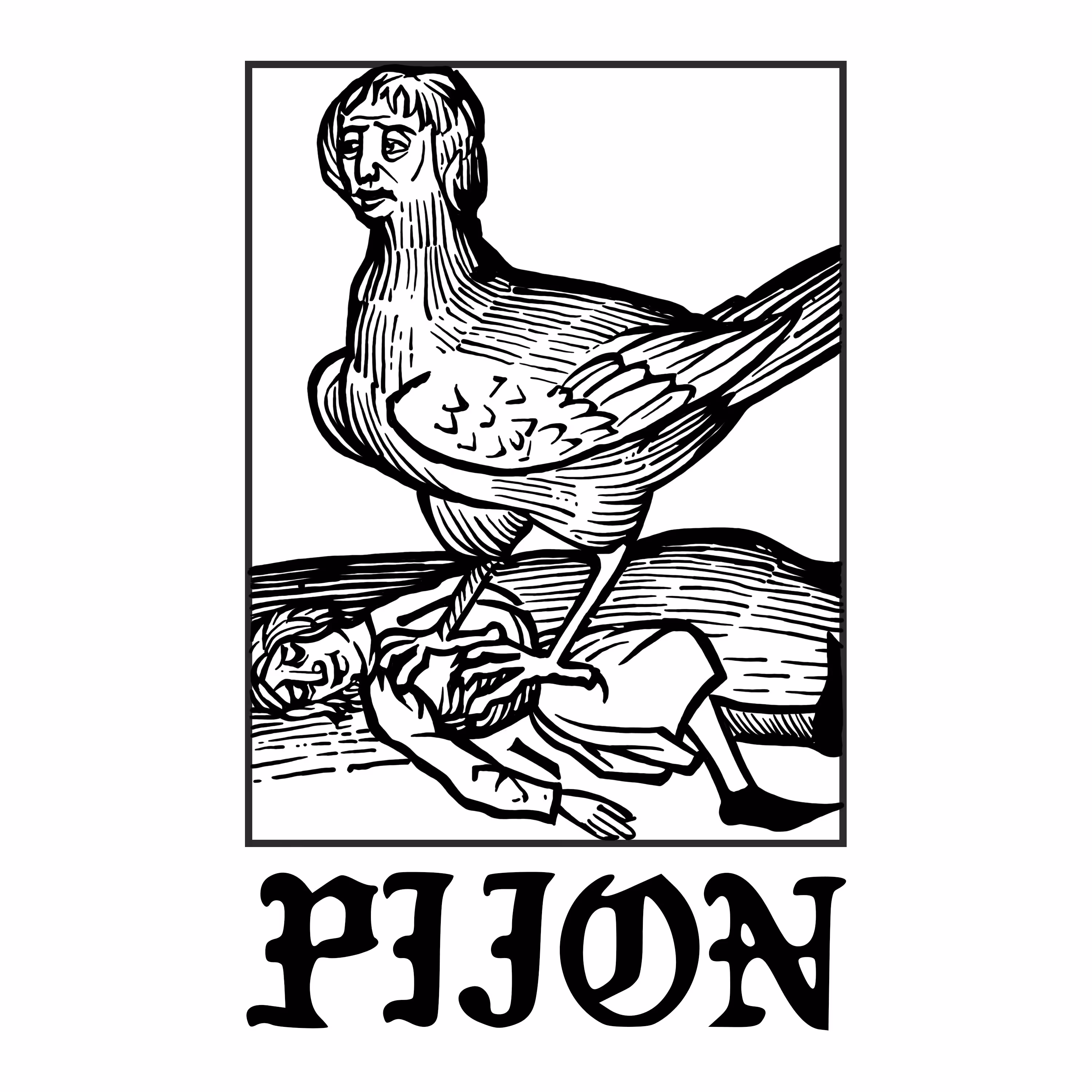 Pijon
