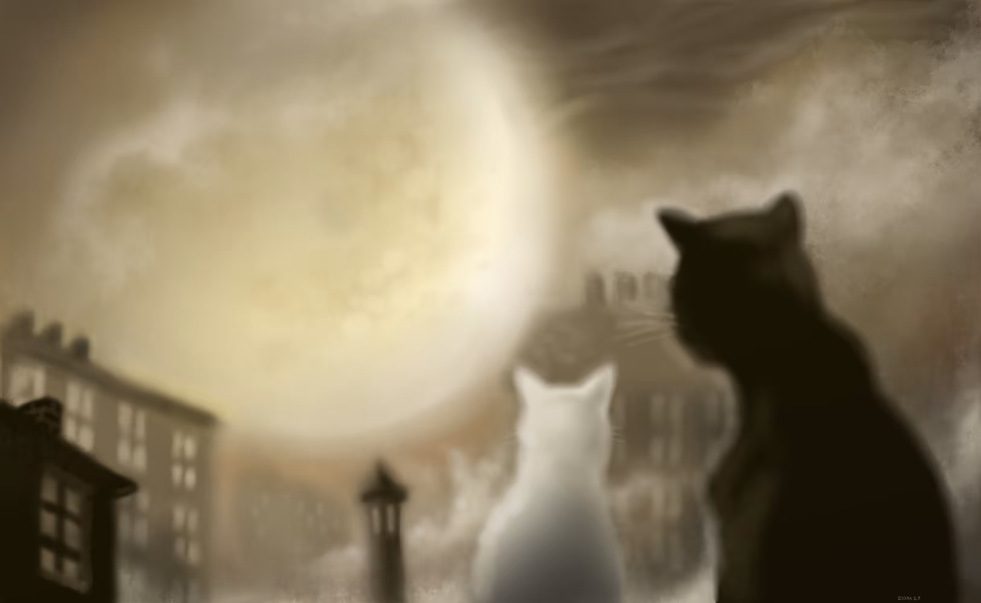 Dark city: the 2 cats