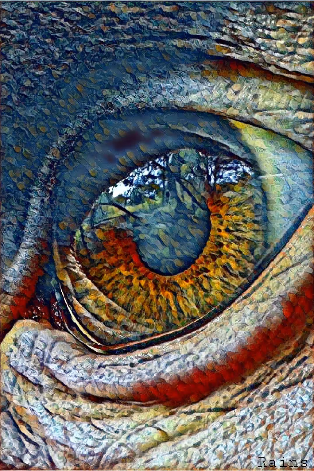 Monkey