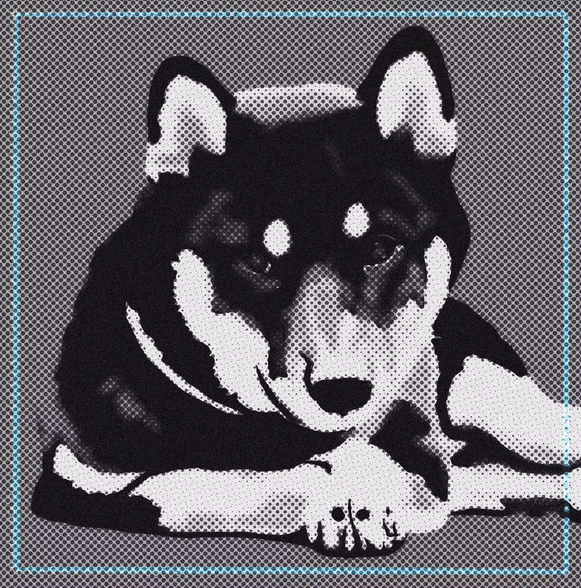 Shiba Inu