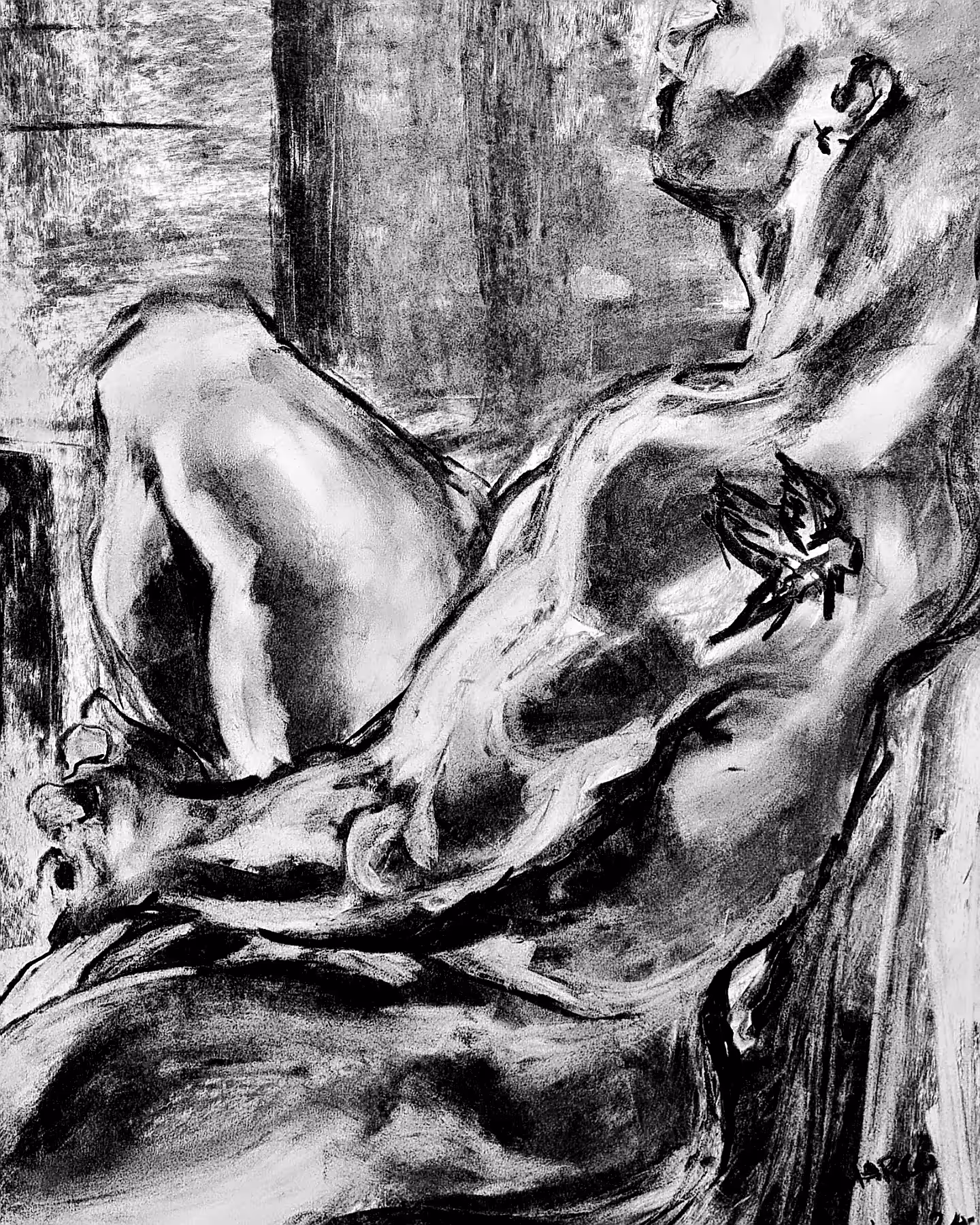 Marco: Wings of Desire