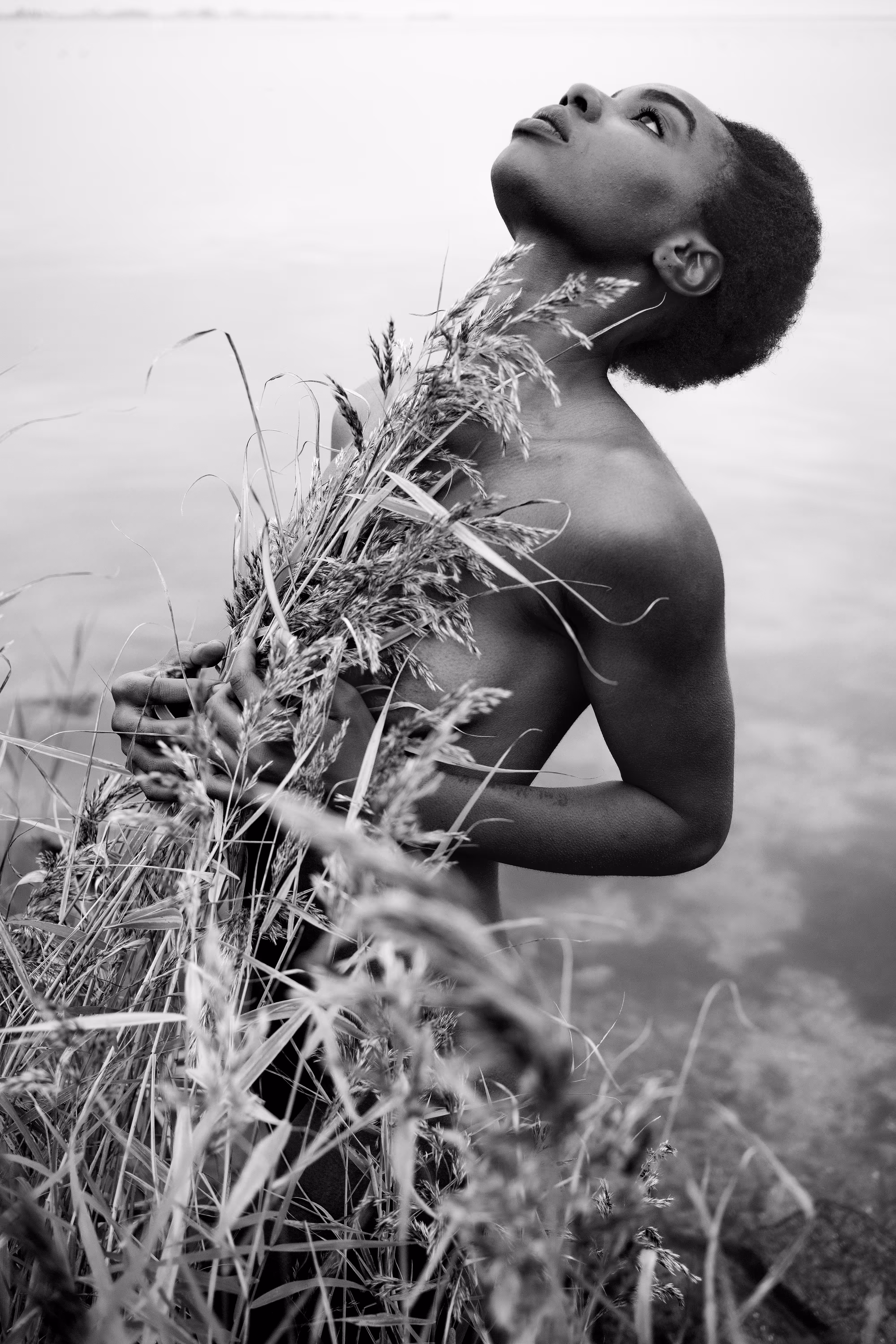 Waterland #7