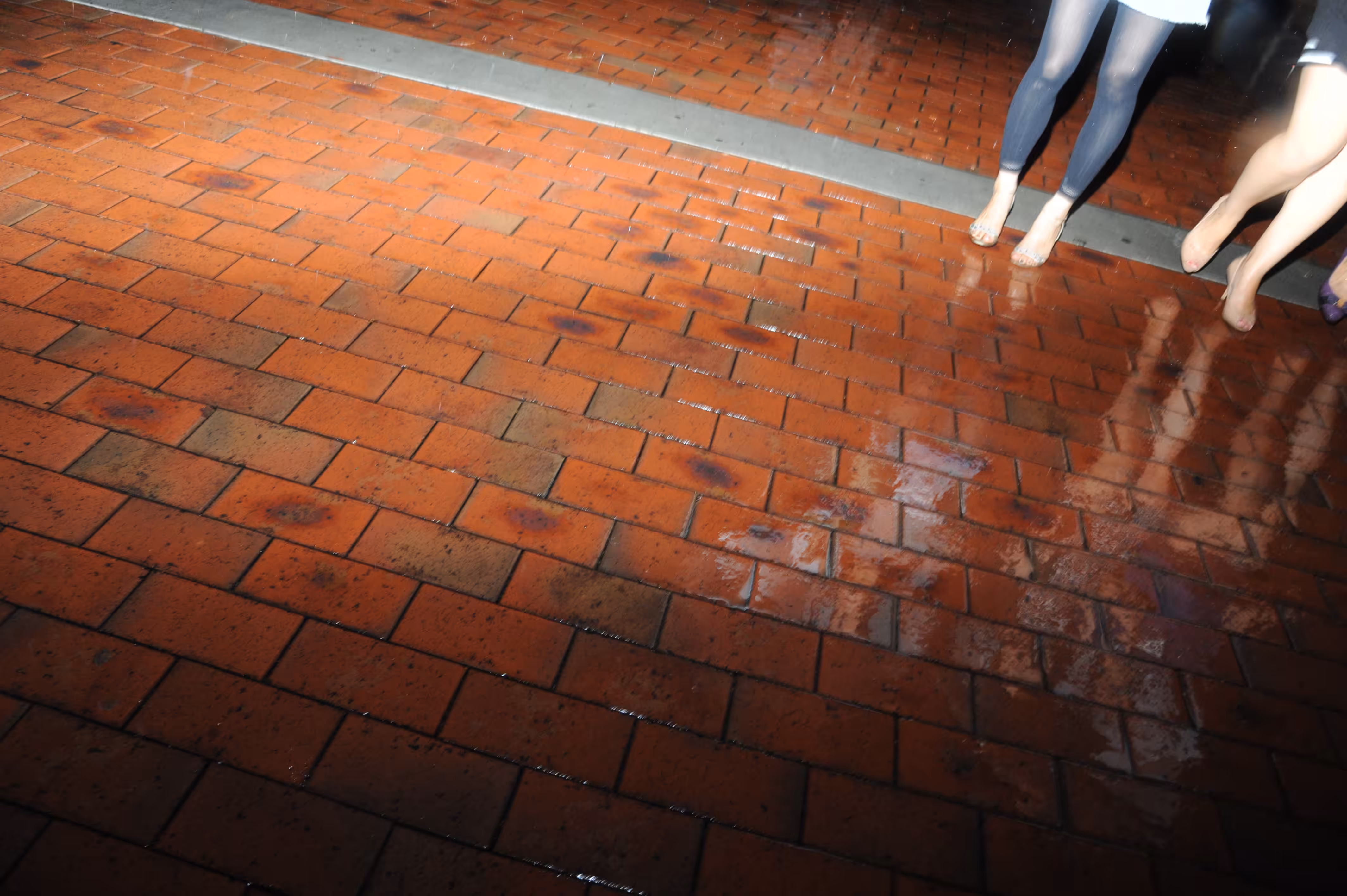 Day91-雨模様steps