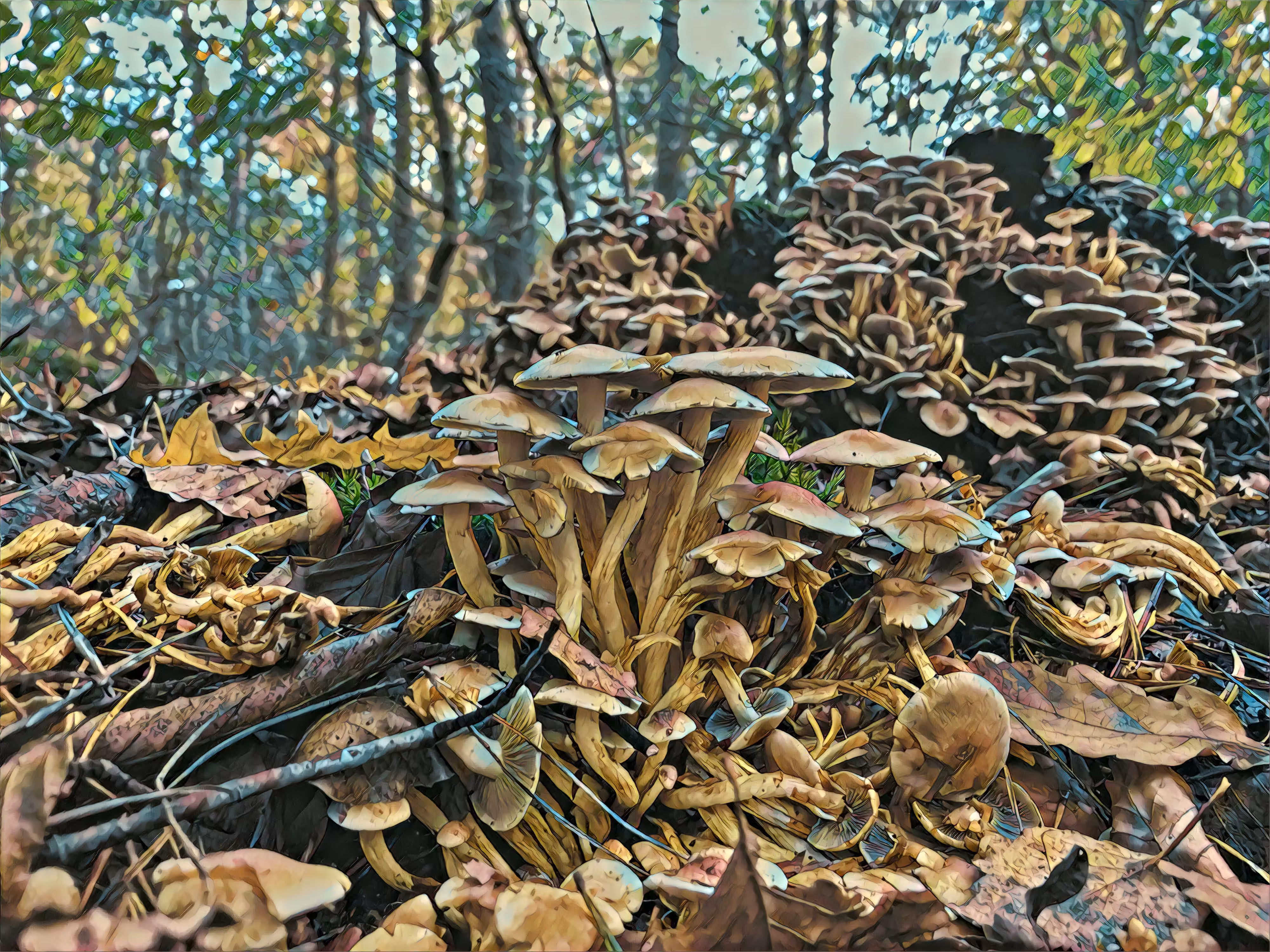Unreal Forest Collection - "Shroom City" - ChartMonk3y.
