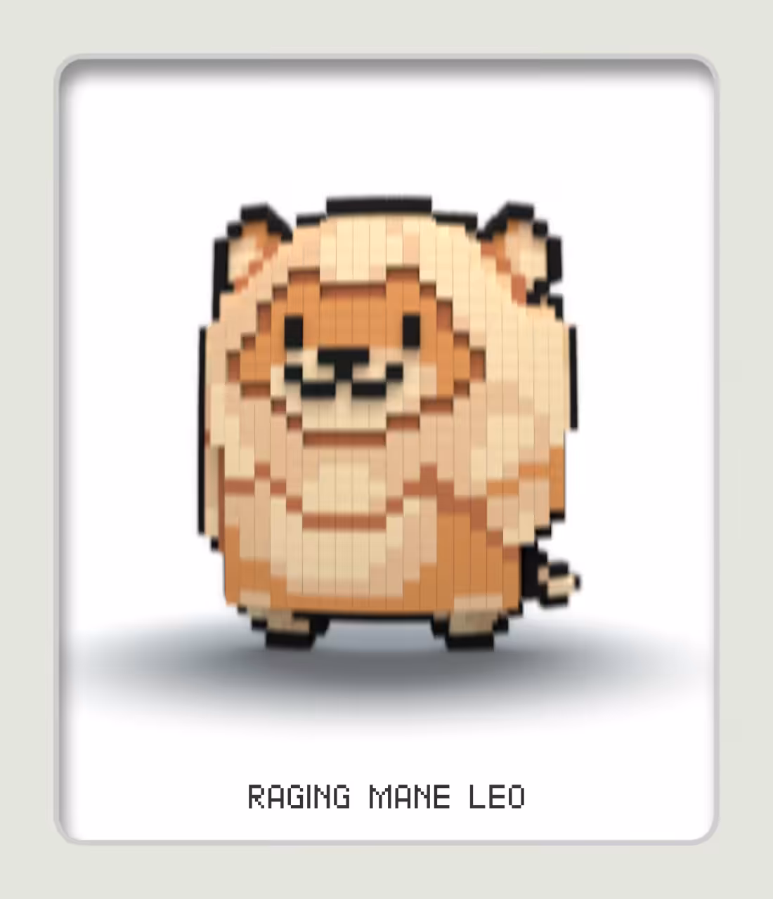 Zoo Collectible