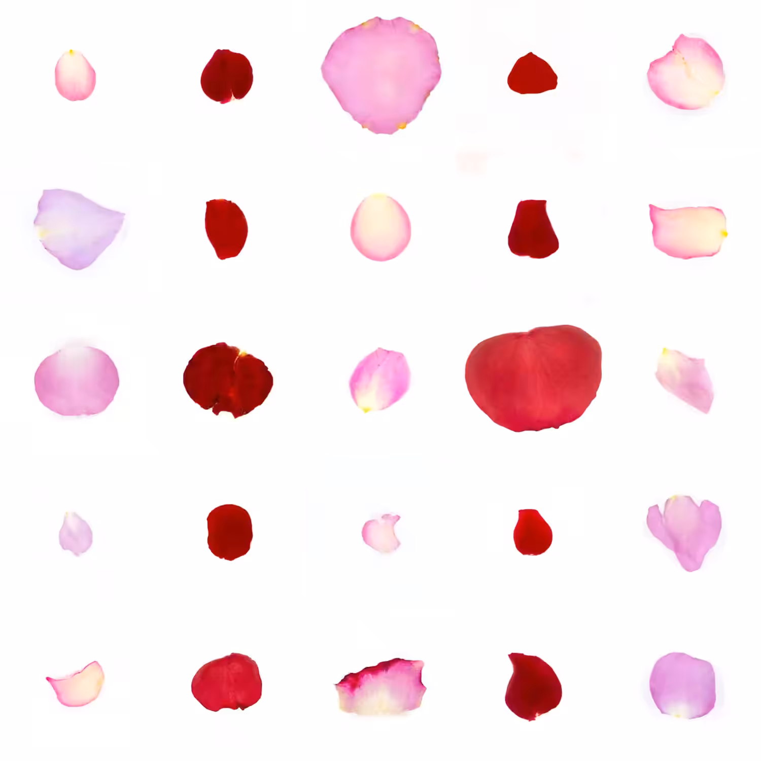 Infinite Petals 5x5#2823