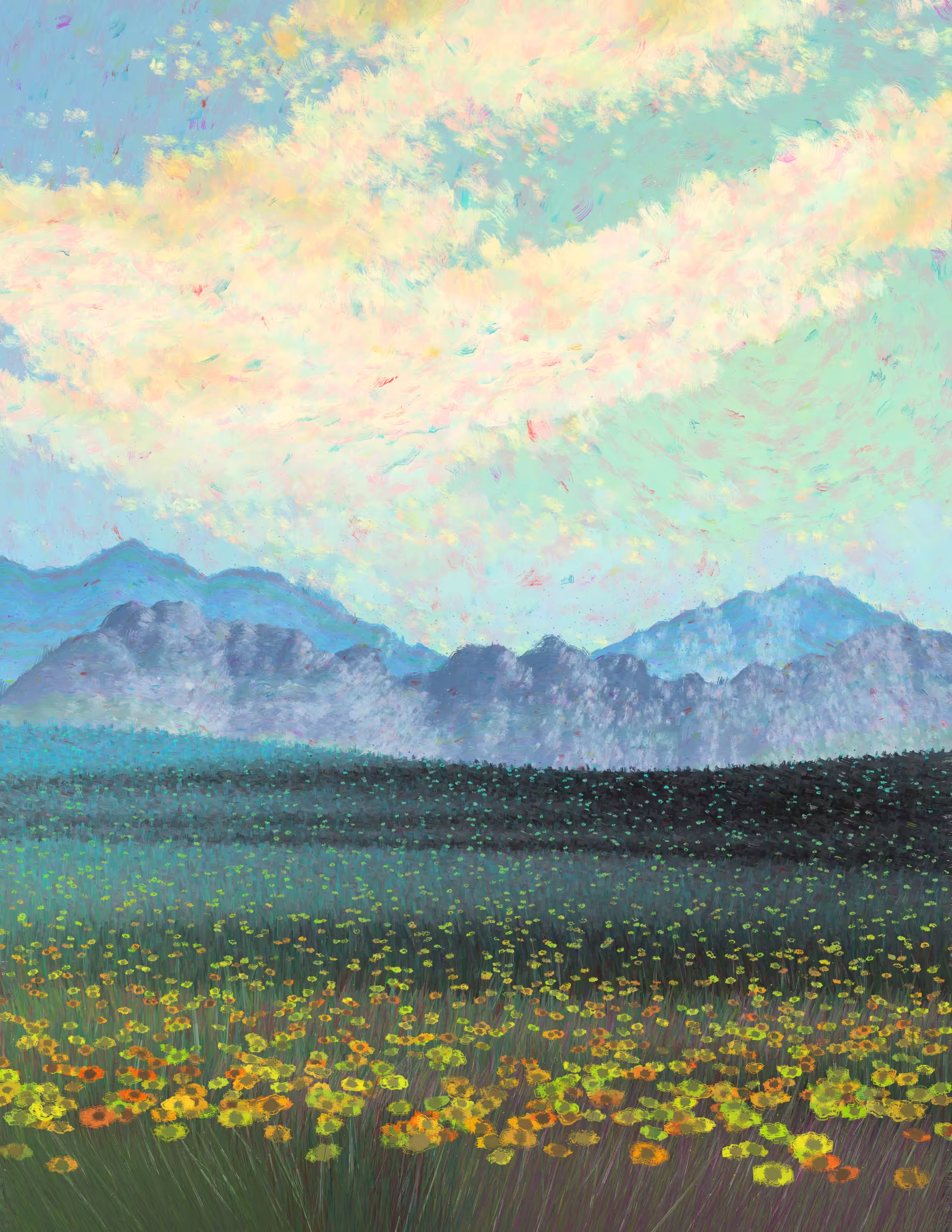 Mountain Field, Warm Day