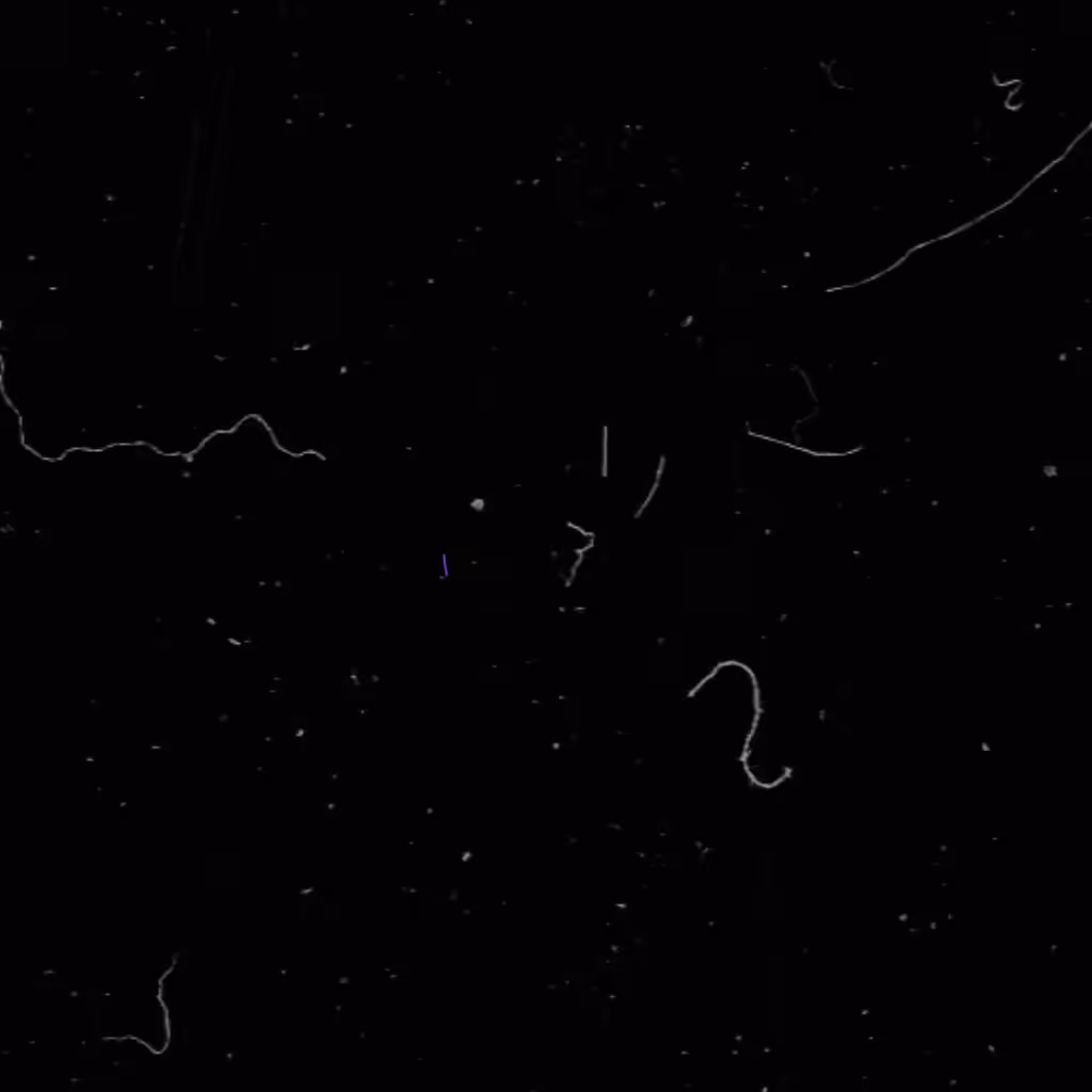 Tezos | Line motion #1