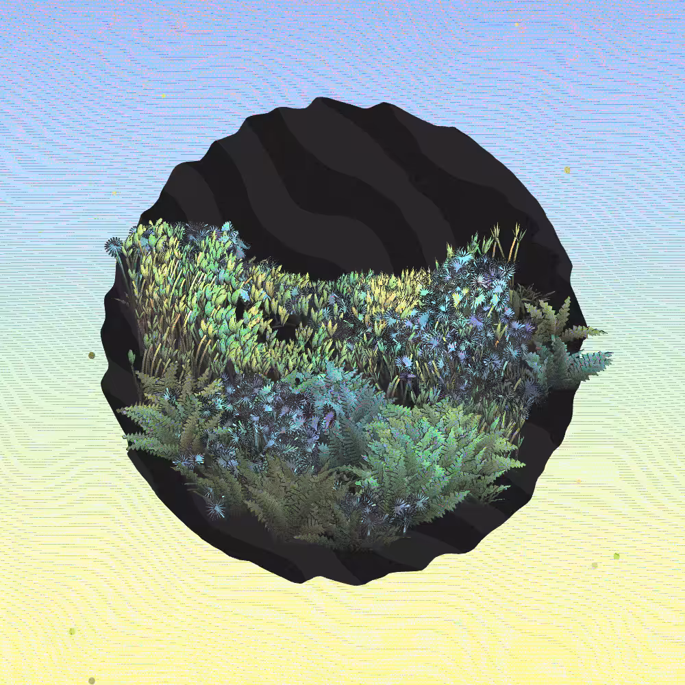 A Gift of Nature #7