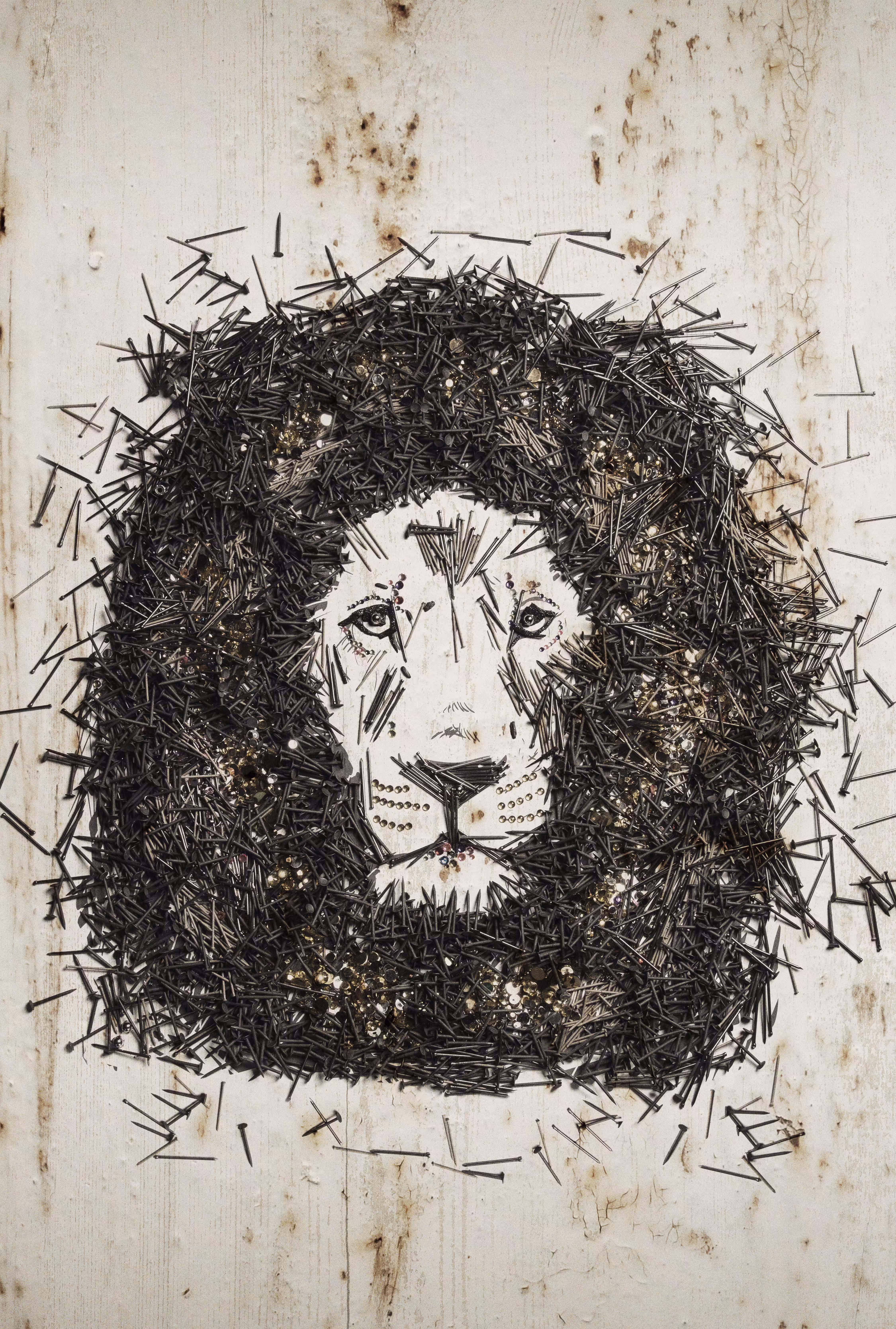Lion - Pollution in Nature