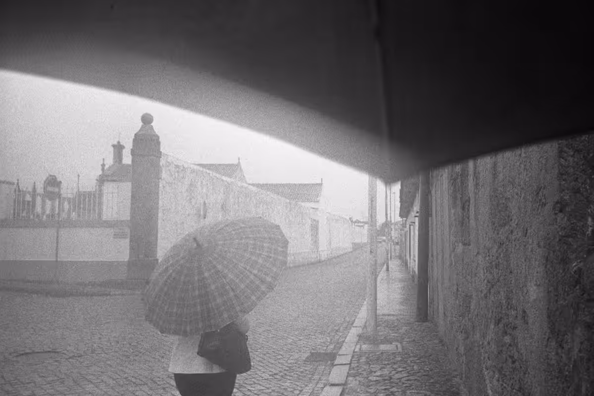 not knowing. in the fog