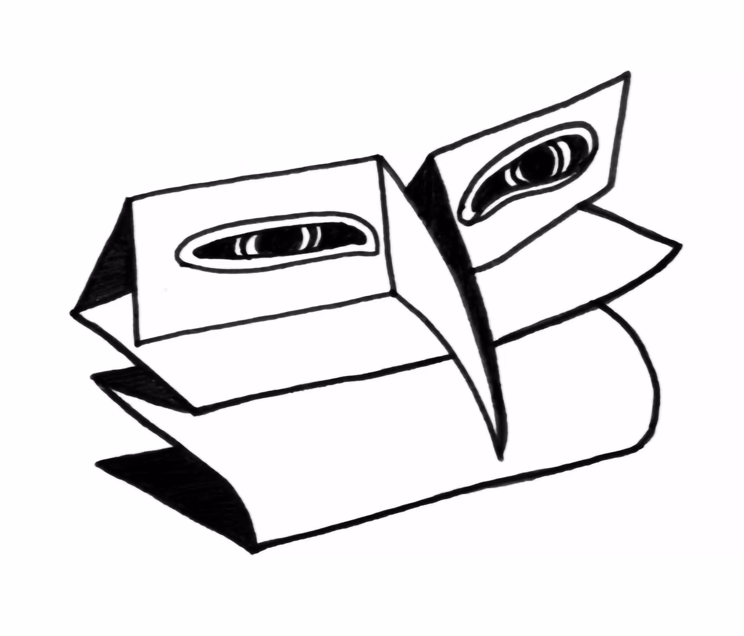 Bird Fold
