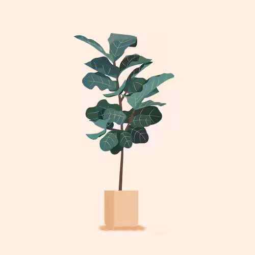 fiddler tree