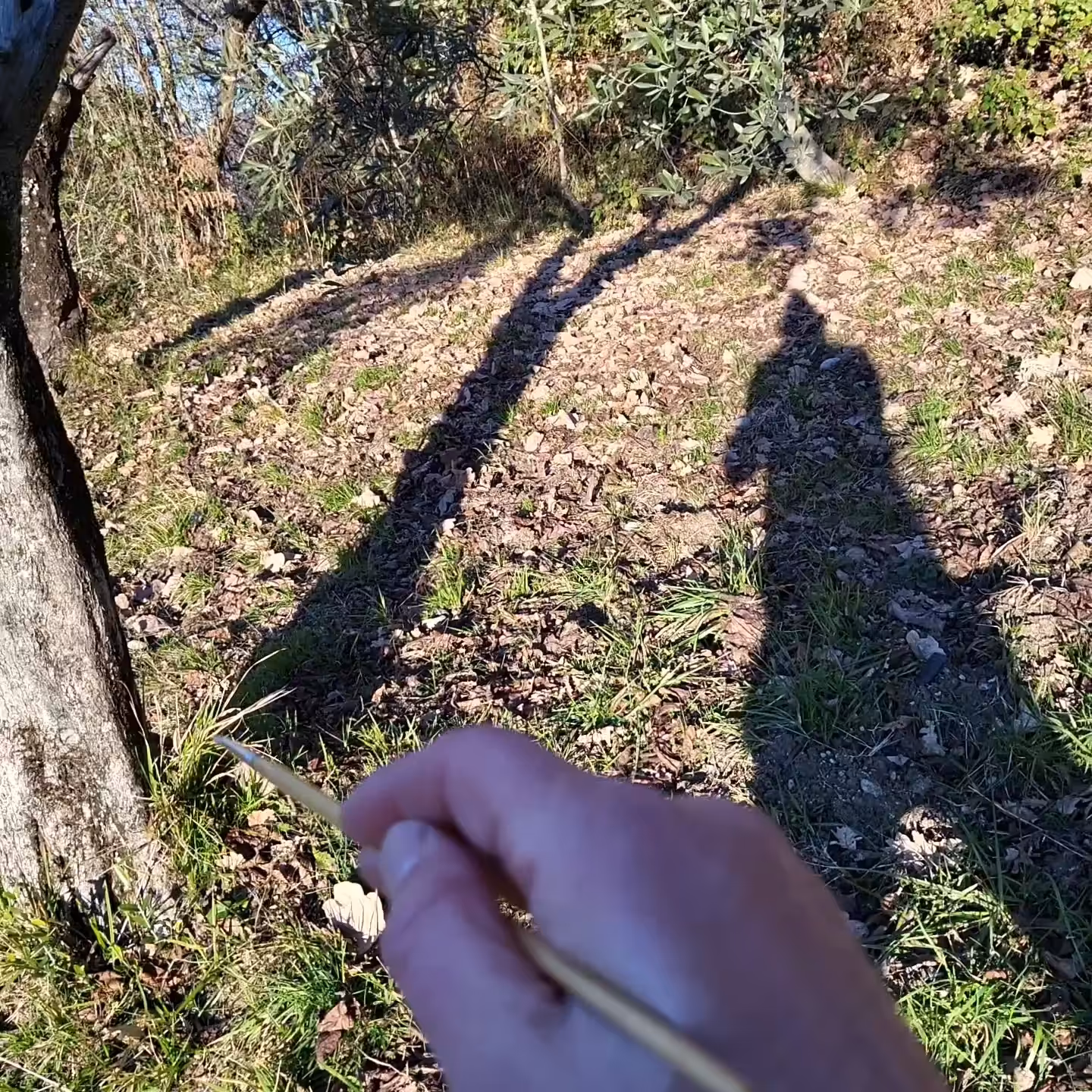 Miltos Manetas, 26 sec in Sabina (Jan 2022)