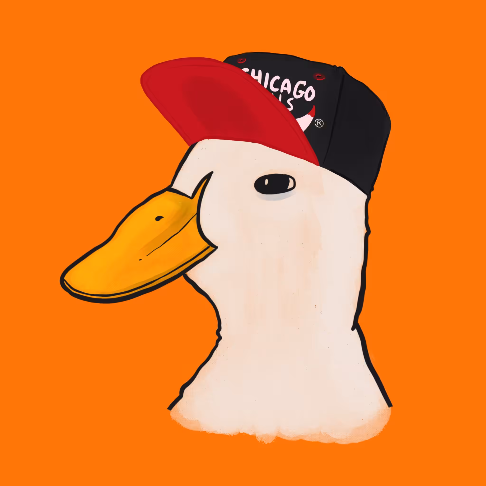 Ducks w Hats - 1