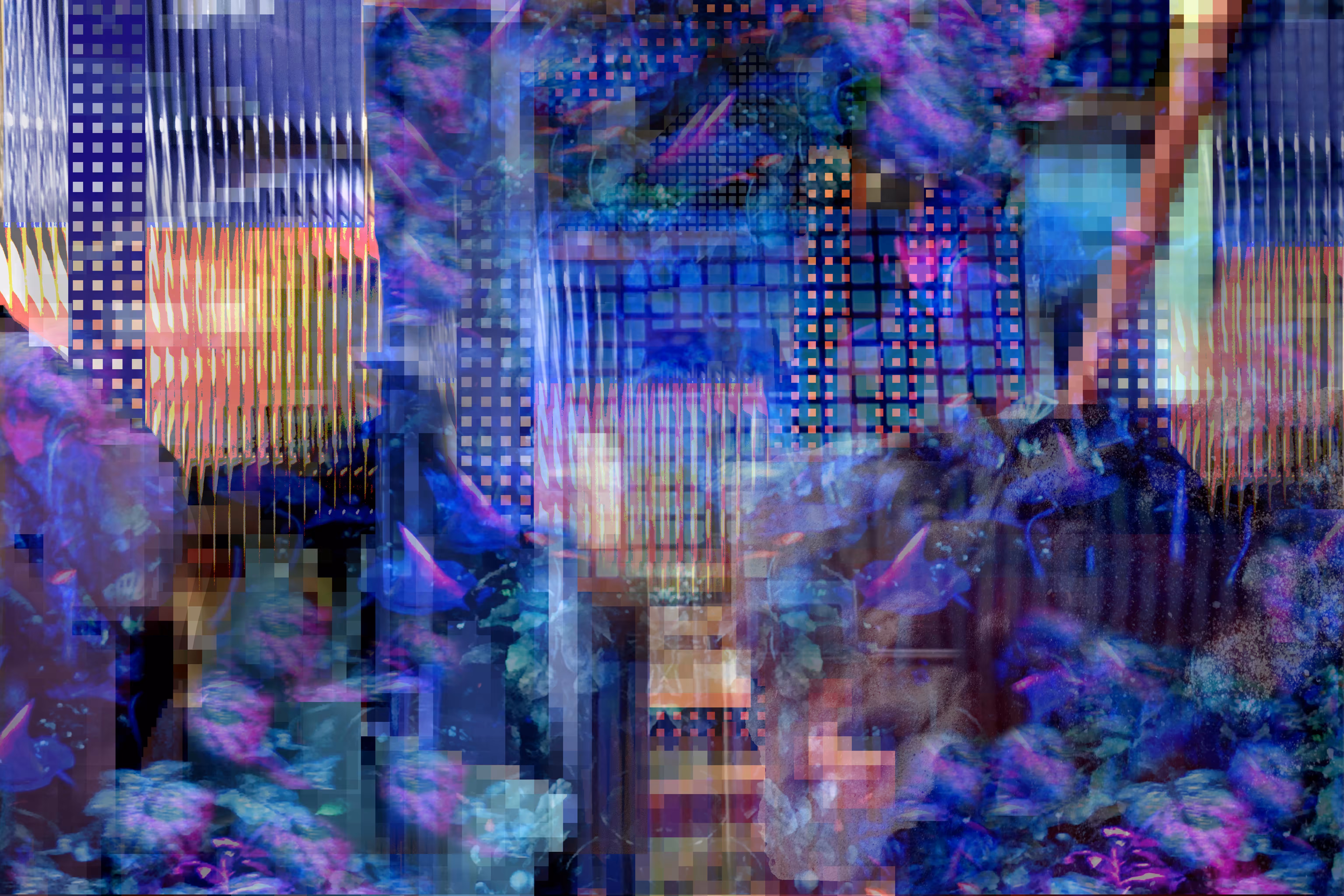 Feral