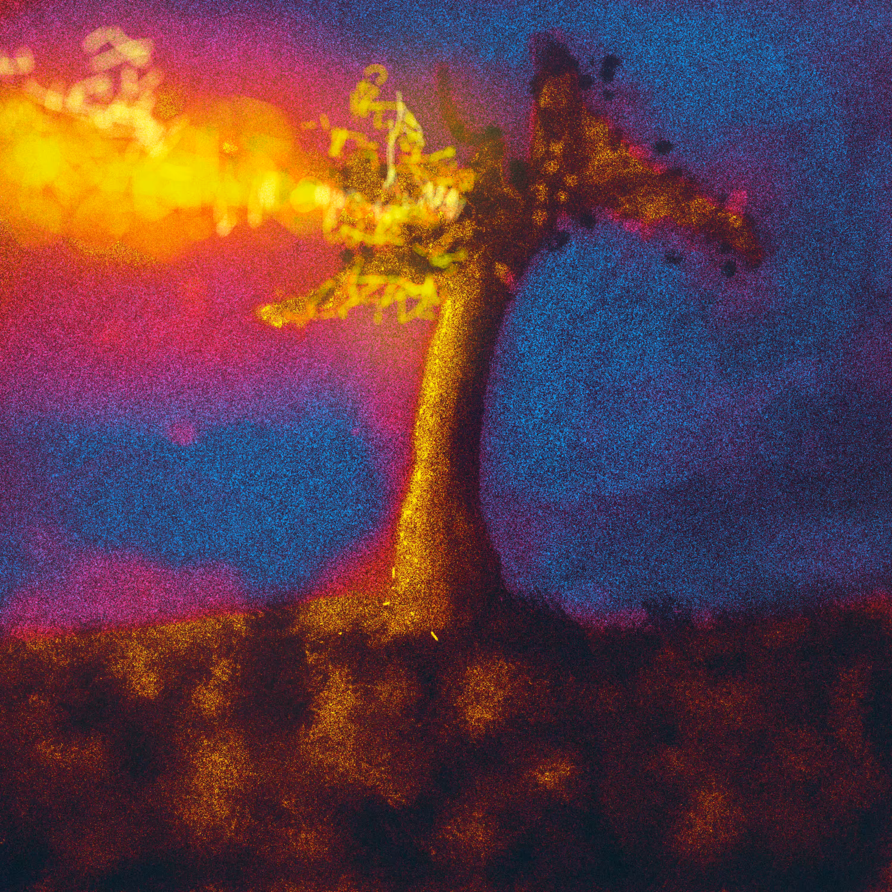 Painting With Mouse =)