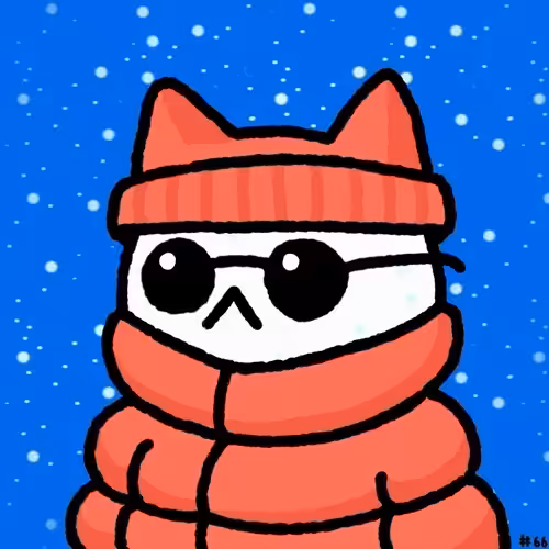 winter cat