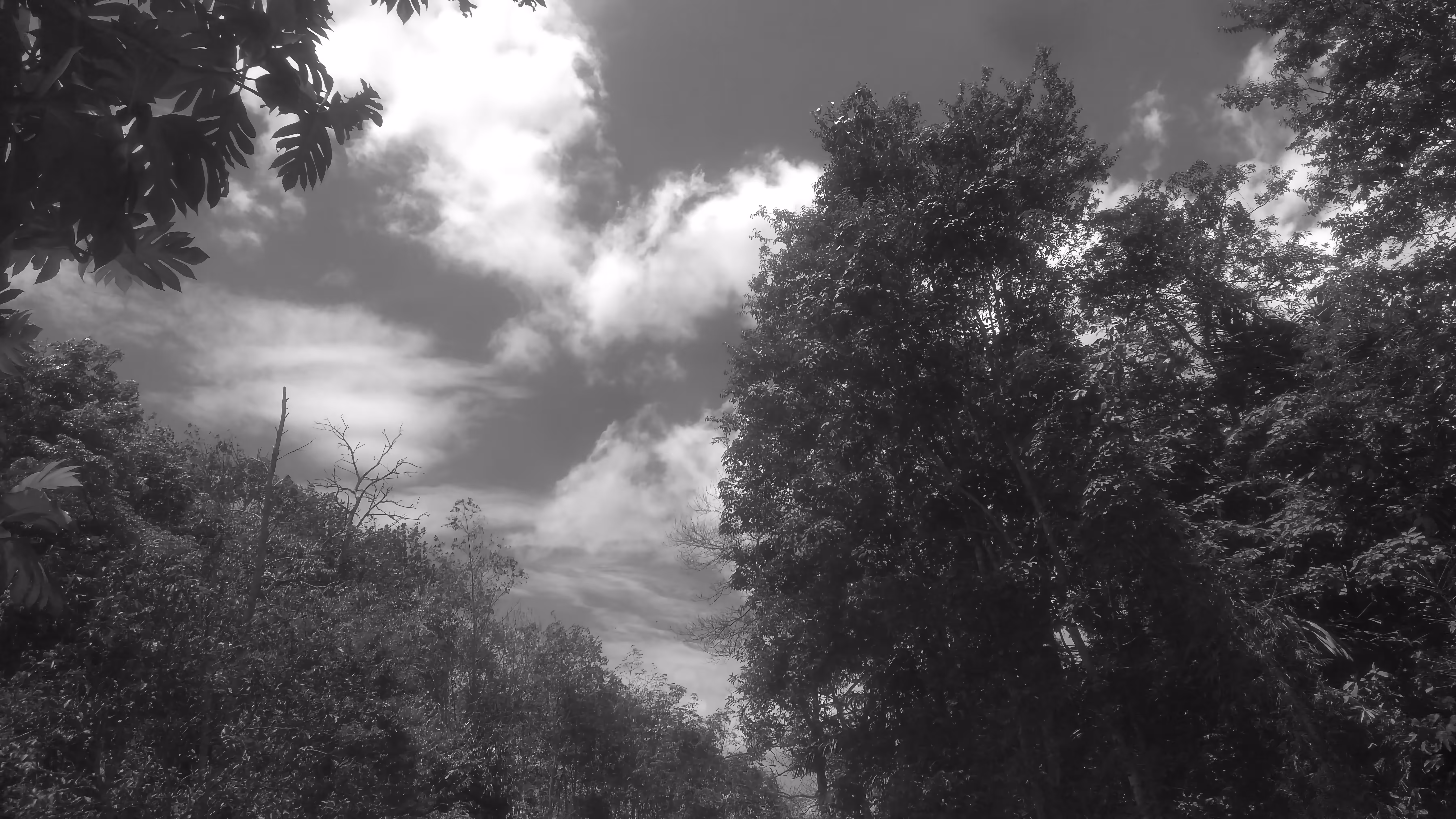 Look at The Sky