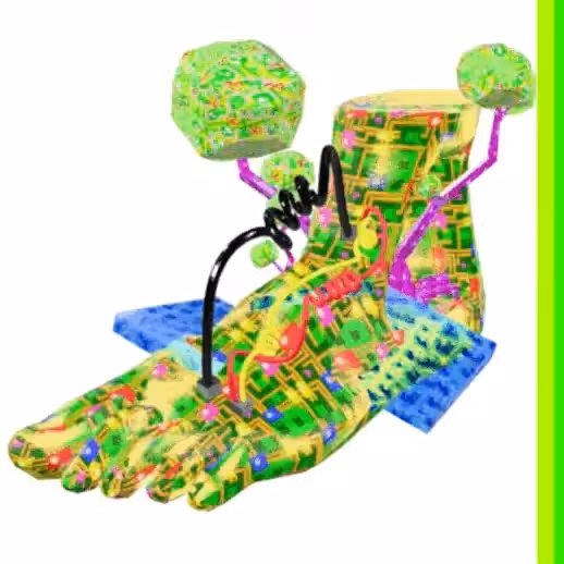 our_left_foot.glb
