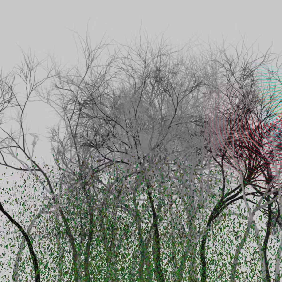 Fractal plot #1