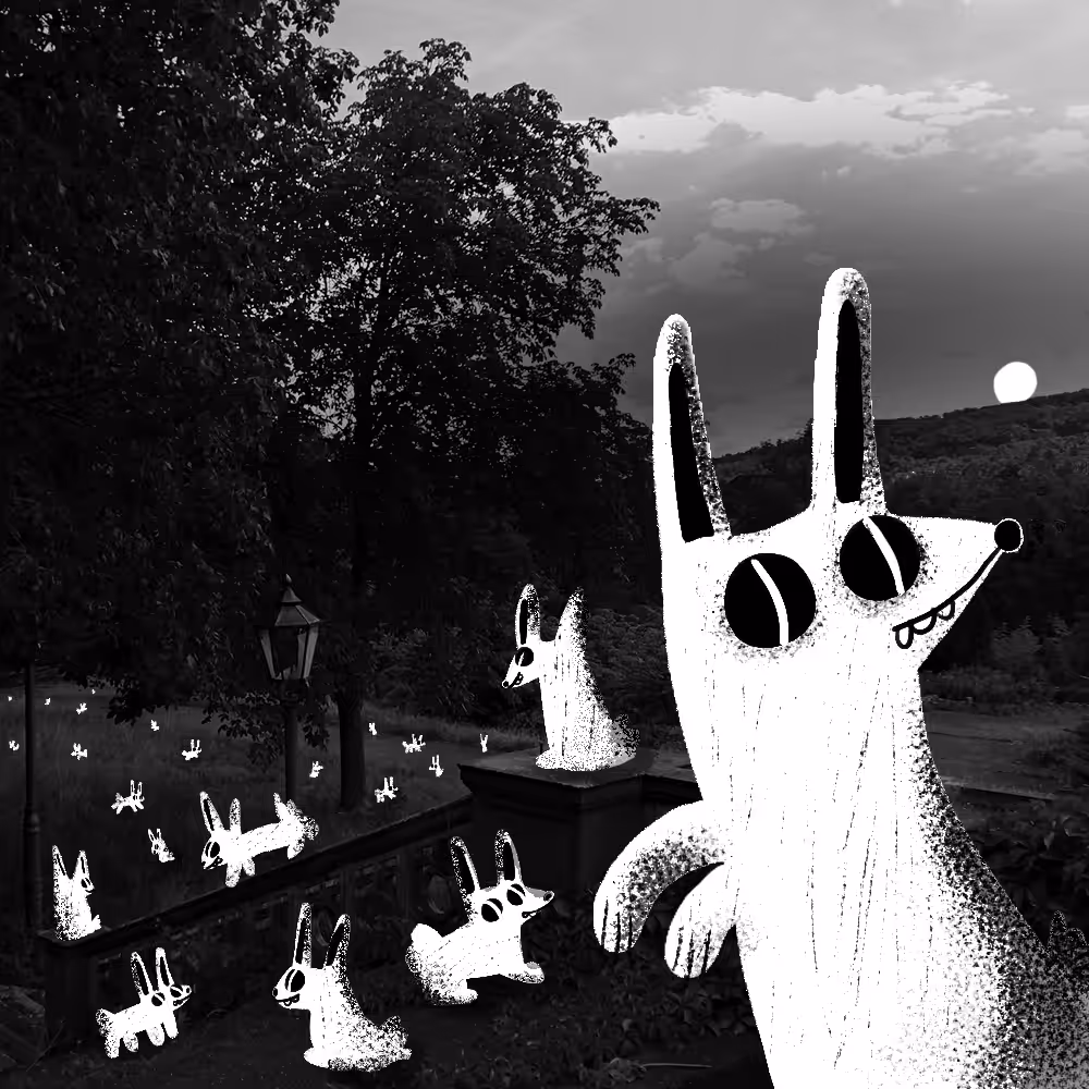 Midnight bunny invasion