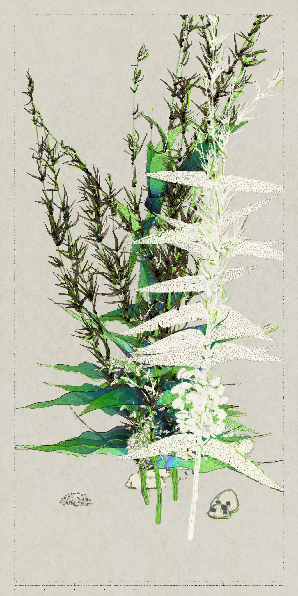 Polypaths | 植徑集 #216