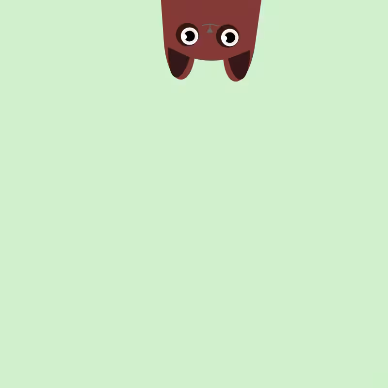 Where is the cat? #32