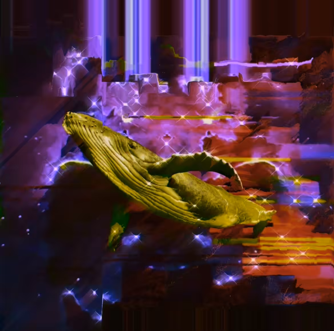 Spacey Whale 