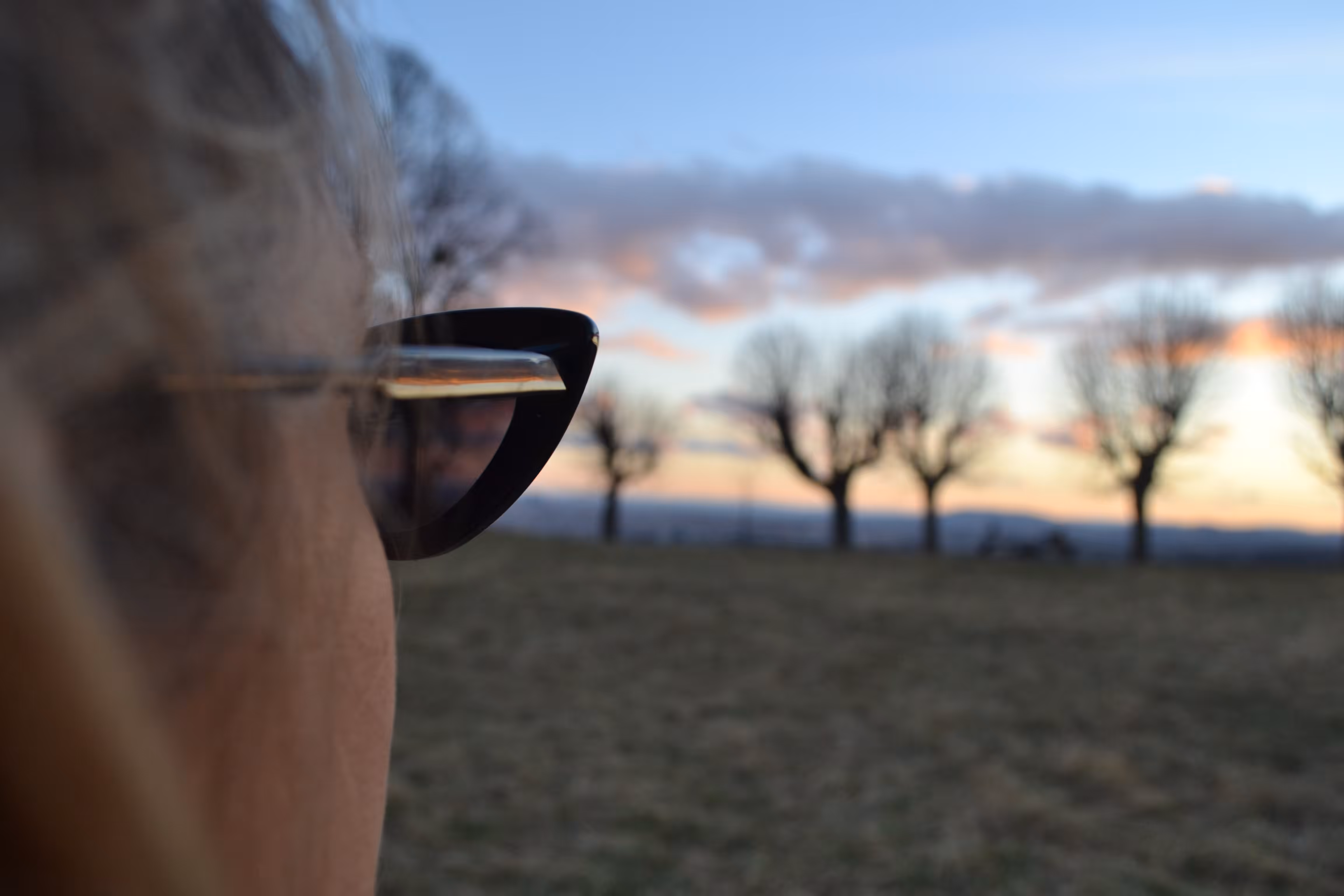 Perspective