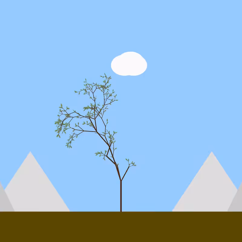 From seedling to tree #34