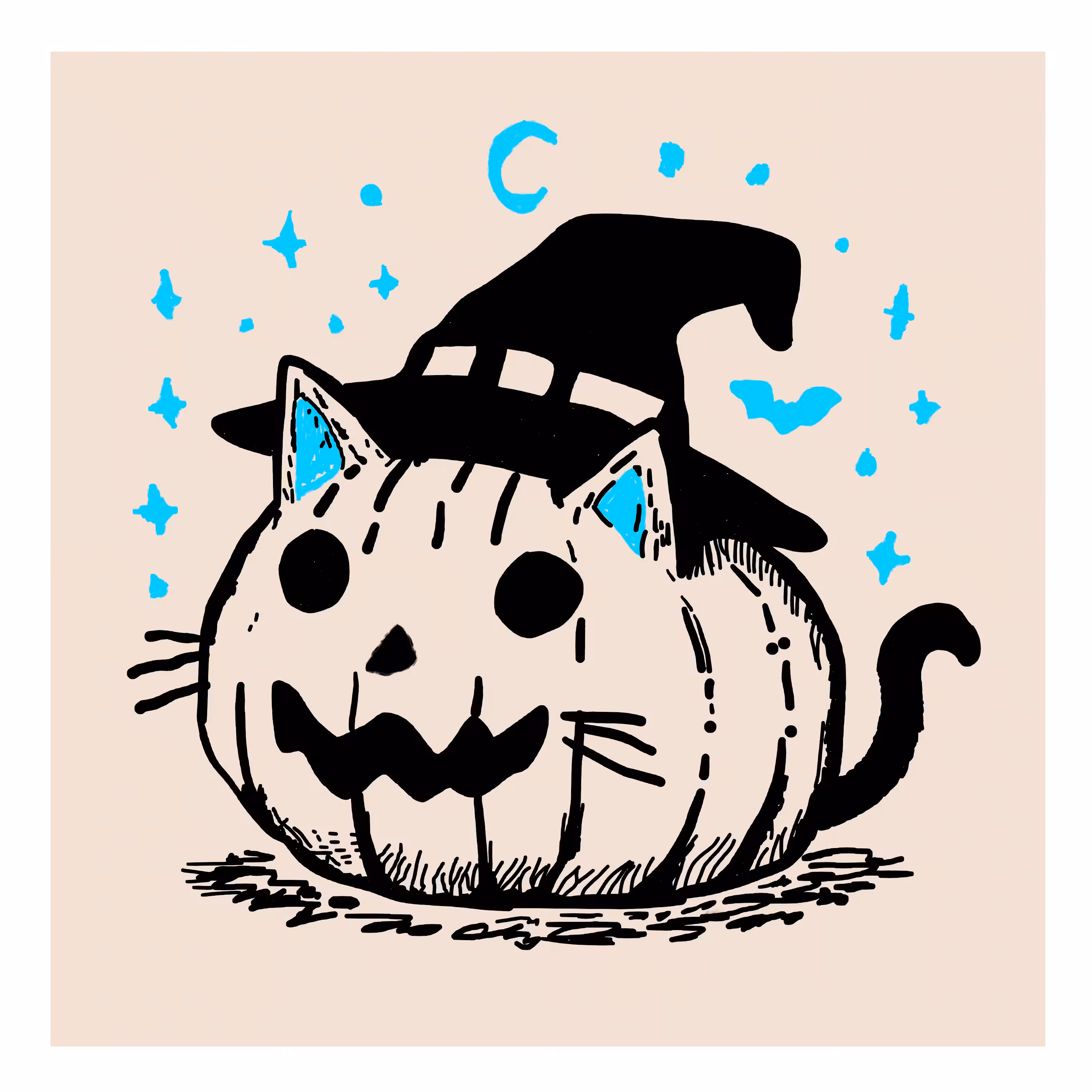 Pumpkin cat