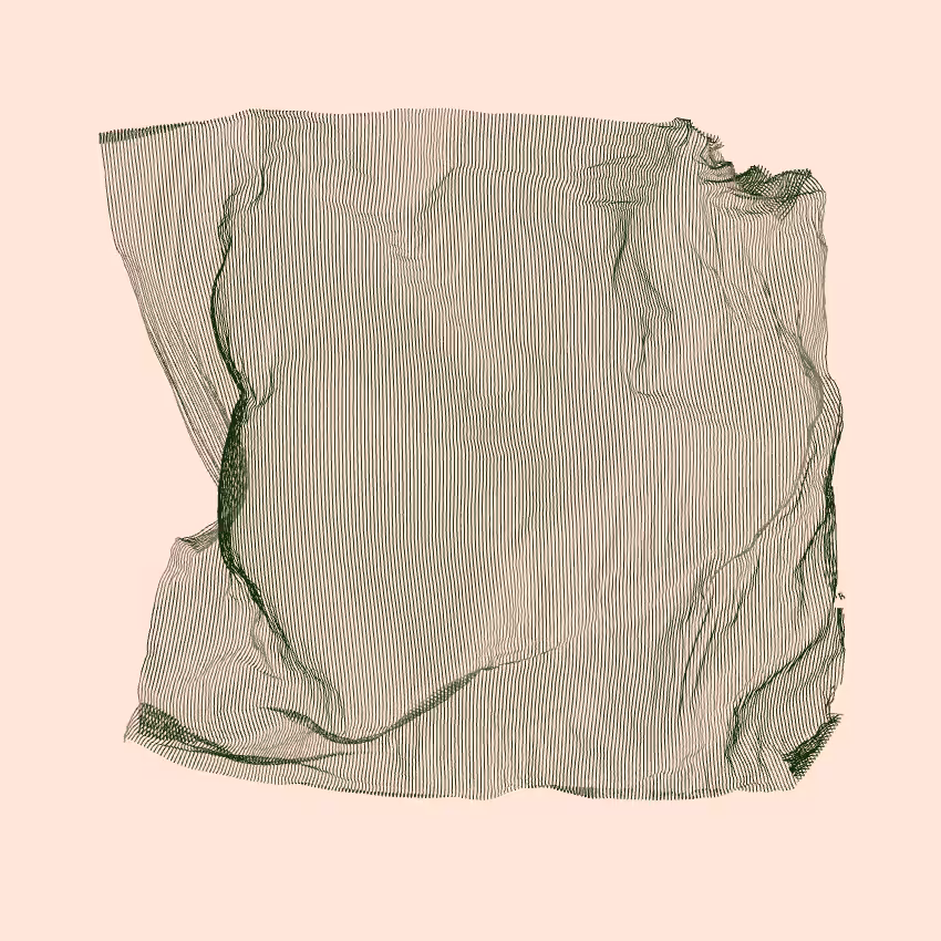 Fibril #422