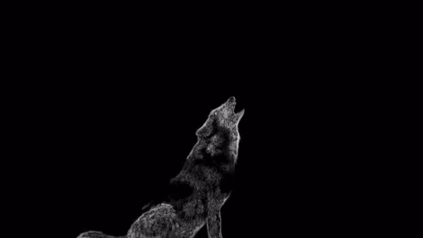 Lunar Wolf