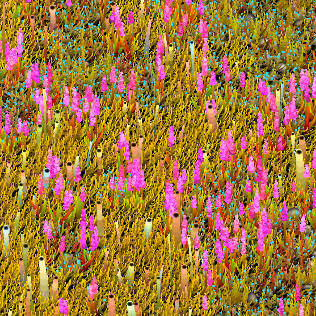 Noisy Gardens #43