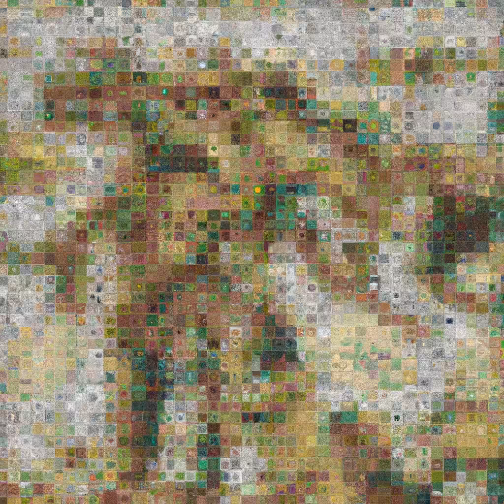 Ganxaic 31