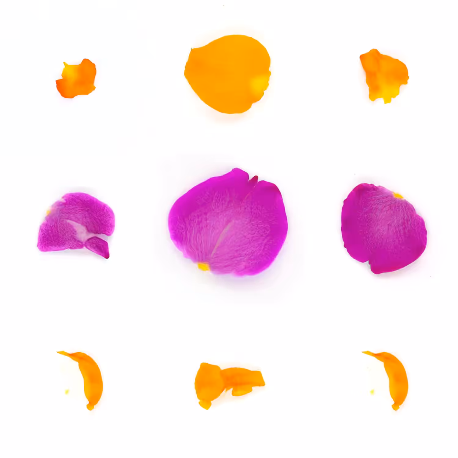 Infinite Petals 3x3#643