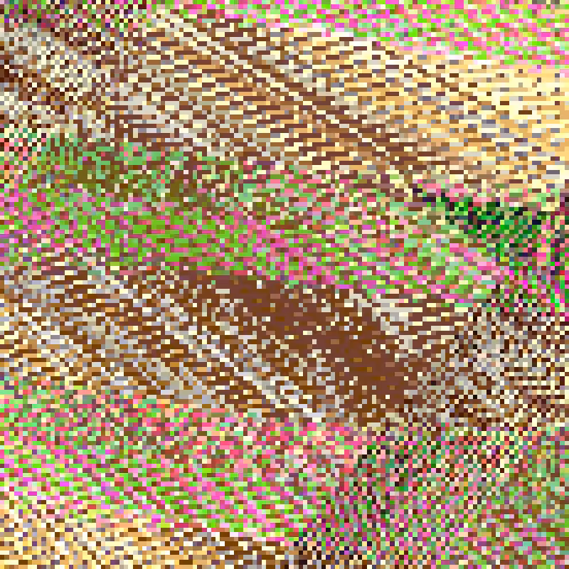 Grid, Rules and Cells #115